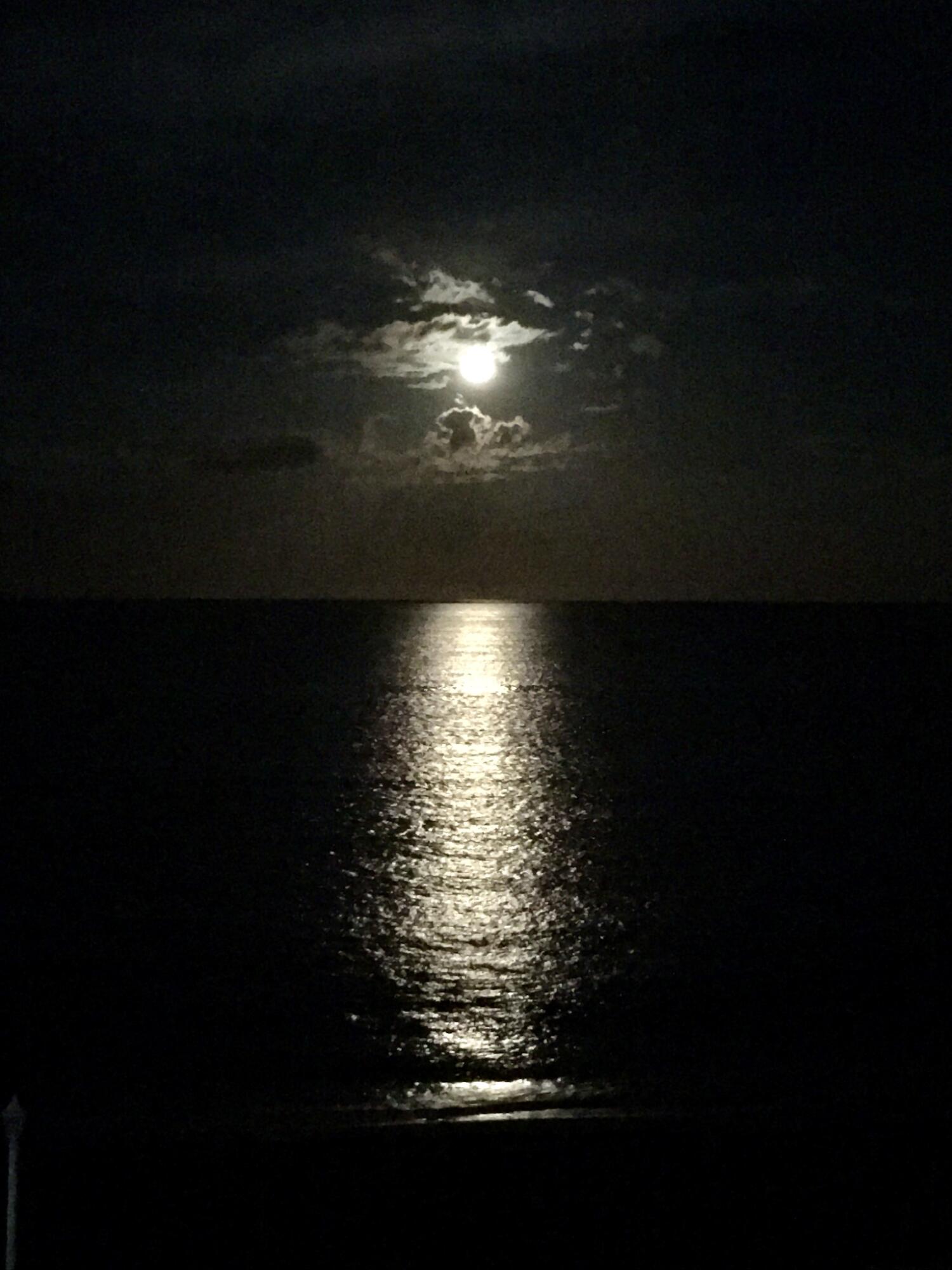 MLS #R11149239 image #23