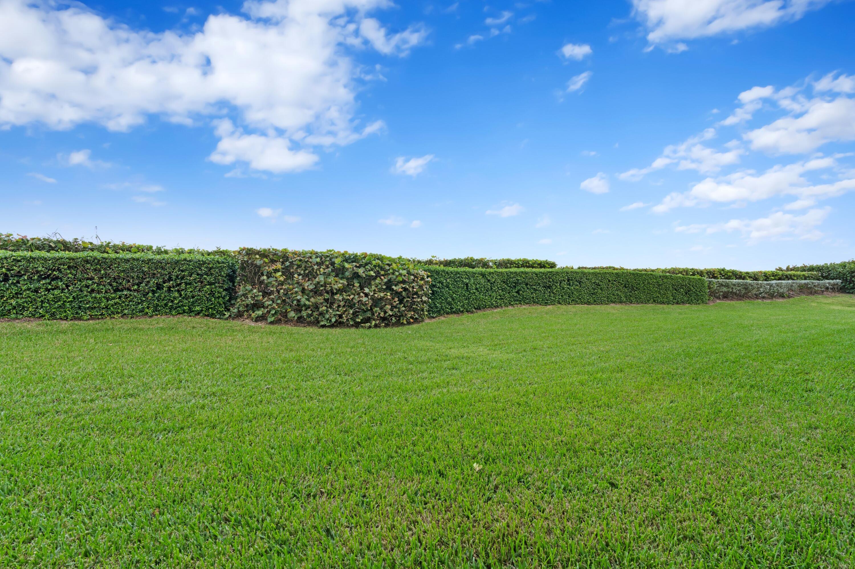 MLS #R11149399 image #11