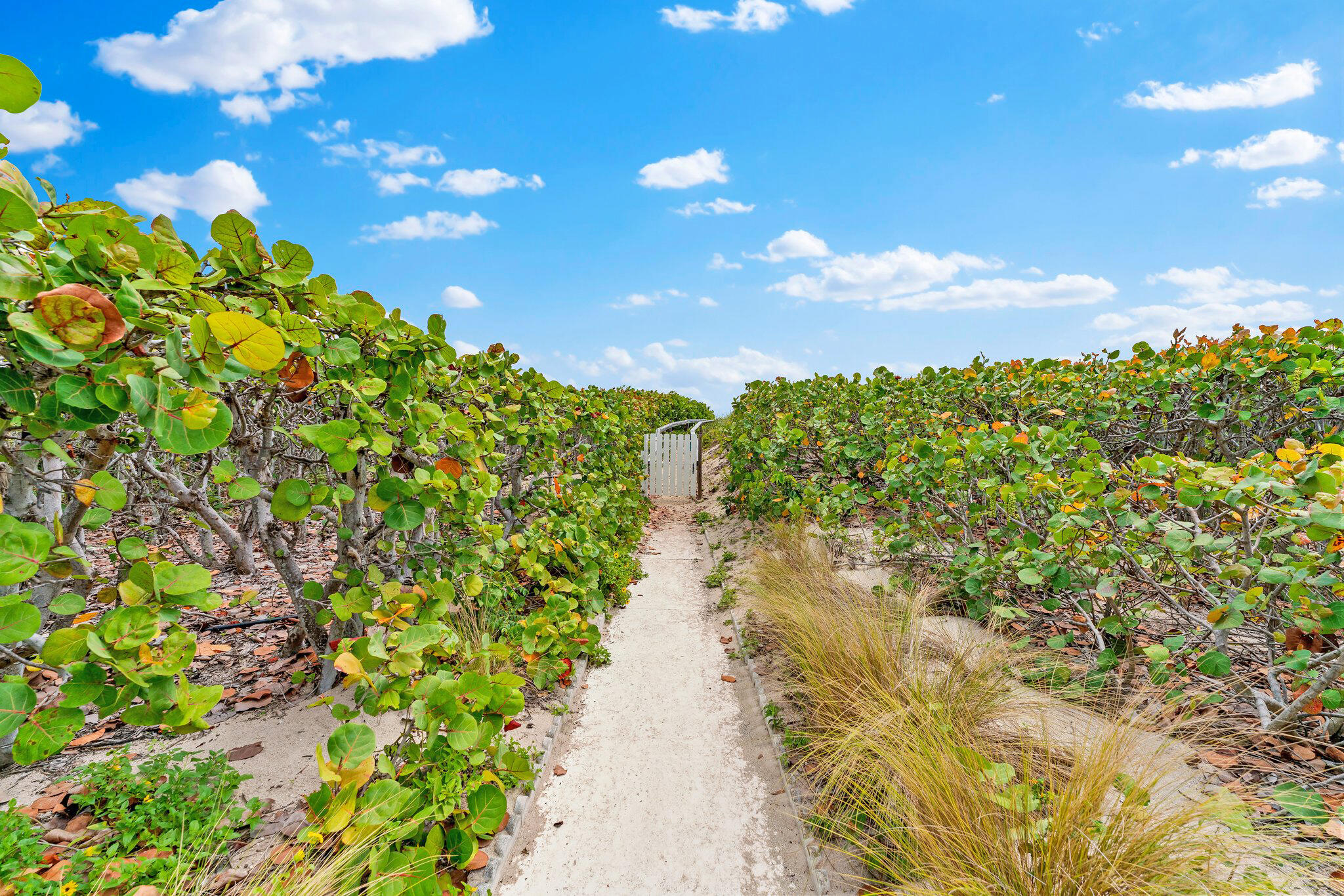 MLS #R11149465 image #35