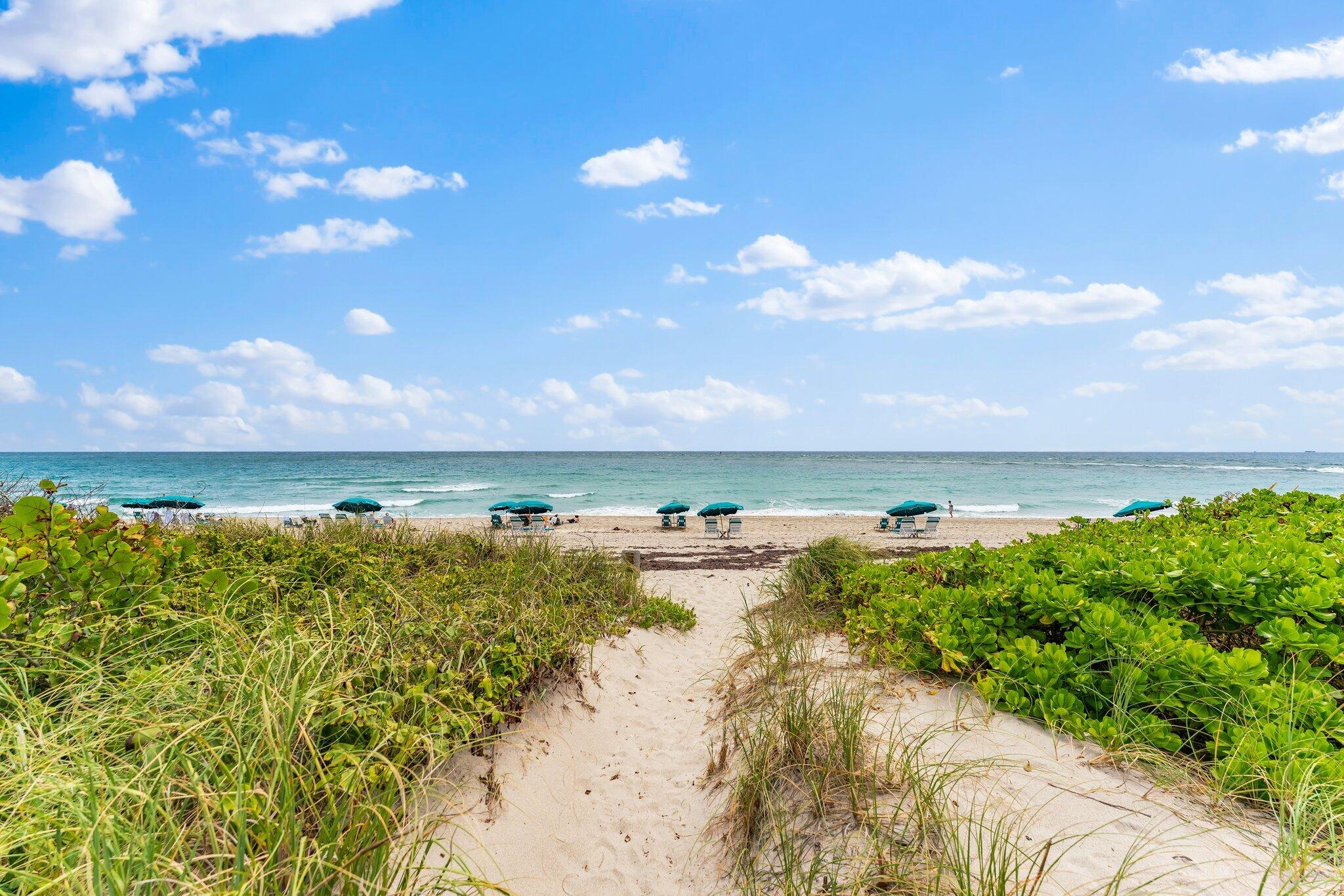 MLS #R11149465 image #36