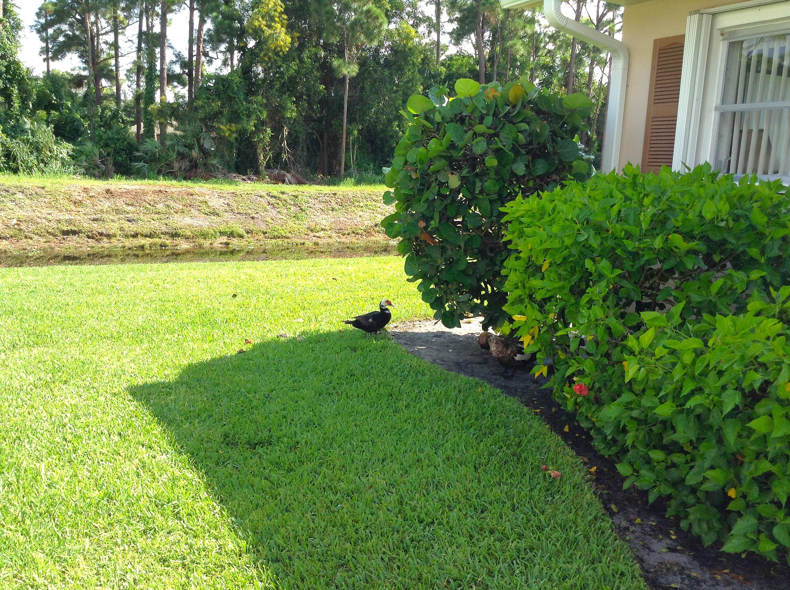 MLS #R11149823 image #23