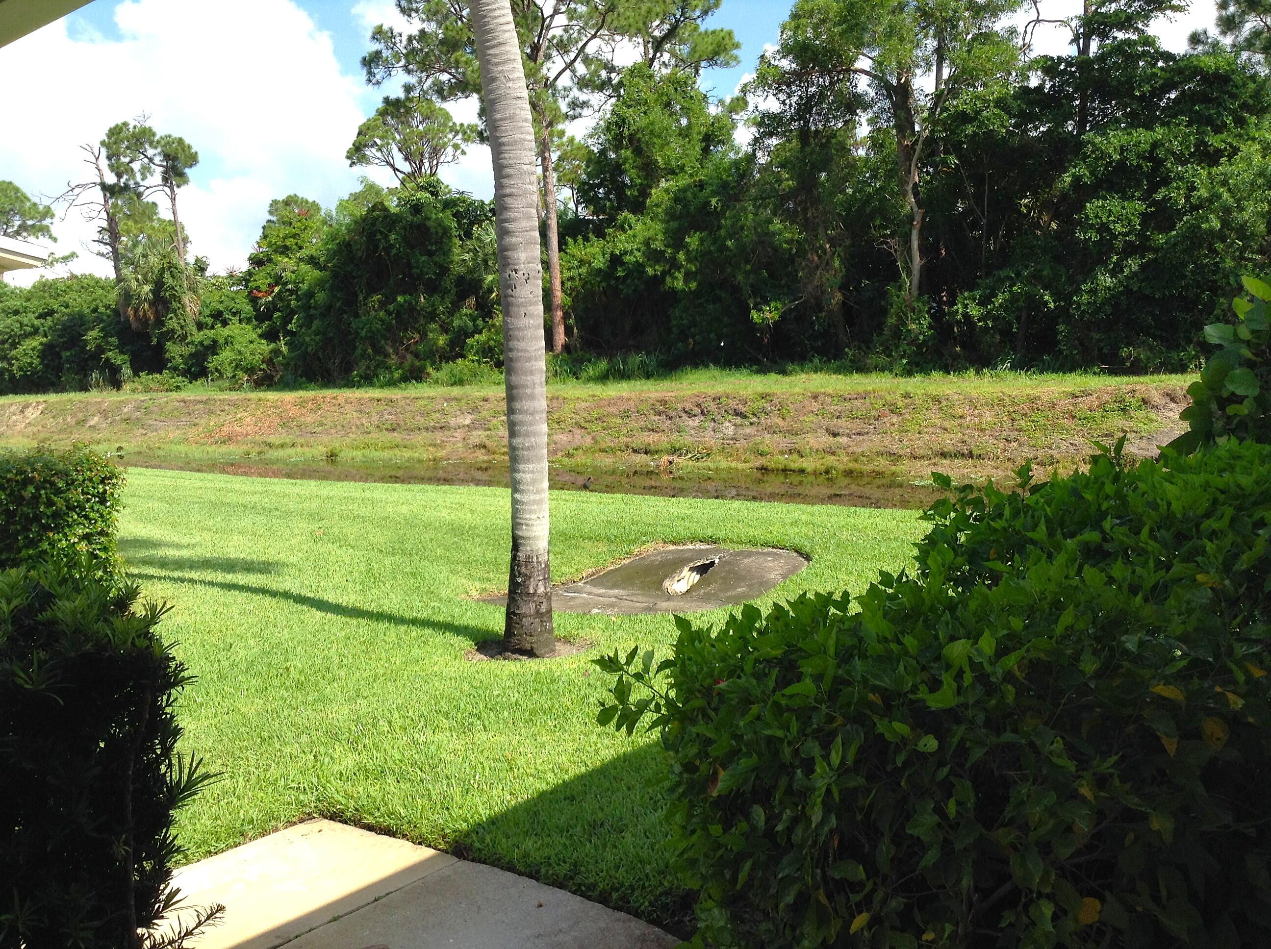 MLS #R11149823 image #24