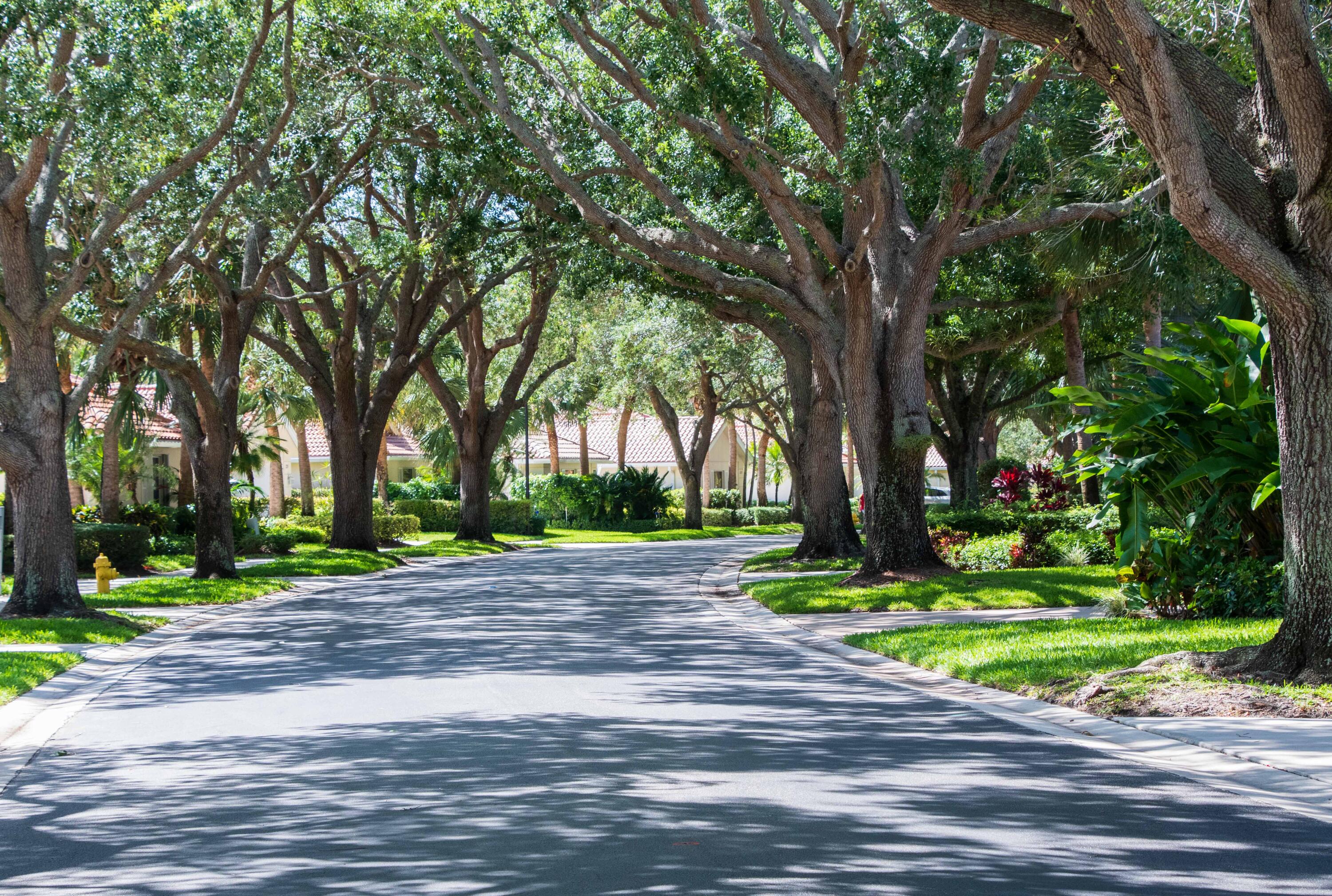 MLS #R11152407 image #45