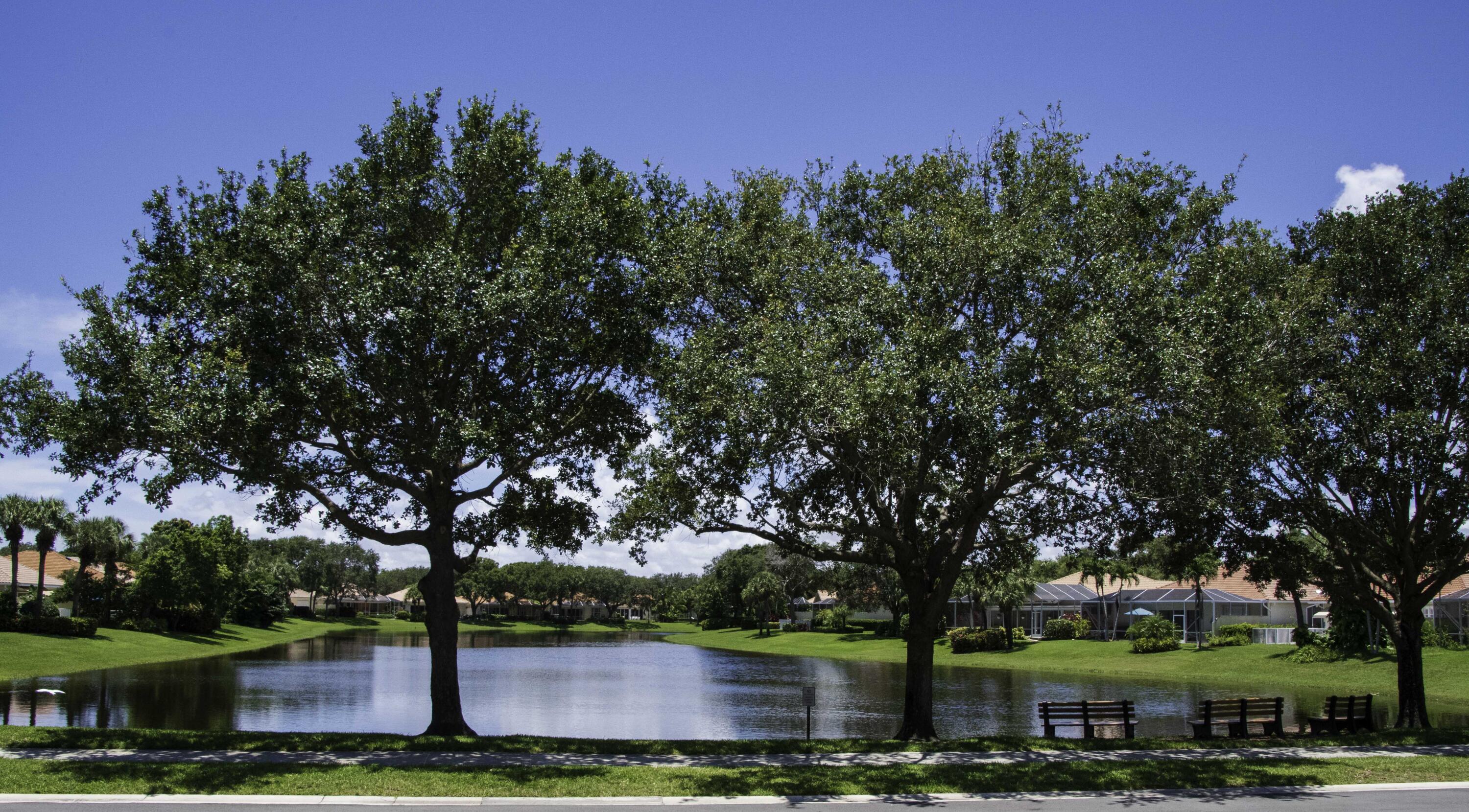 MLS #R11152407 image #48