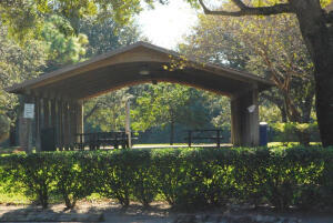 MLS #R11152407 image #65