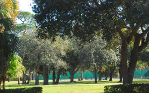 MLS #R11152407 image #66