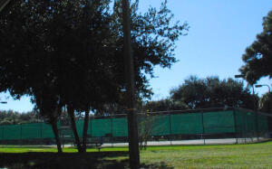 MLS #R11152407 image #67