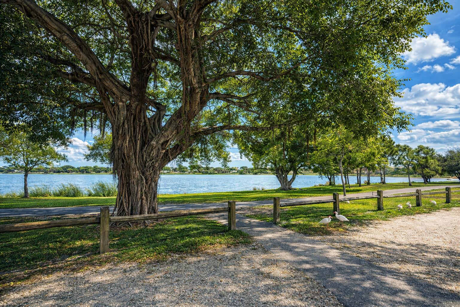 MLS #R11152635 image #16