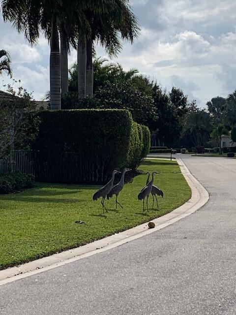 MLS #R11153477 image #57