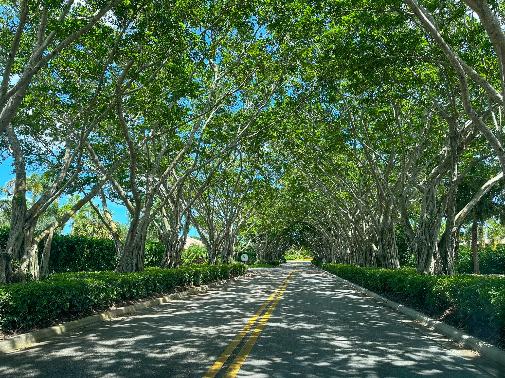 MLS #R11153875 image #49