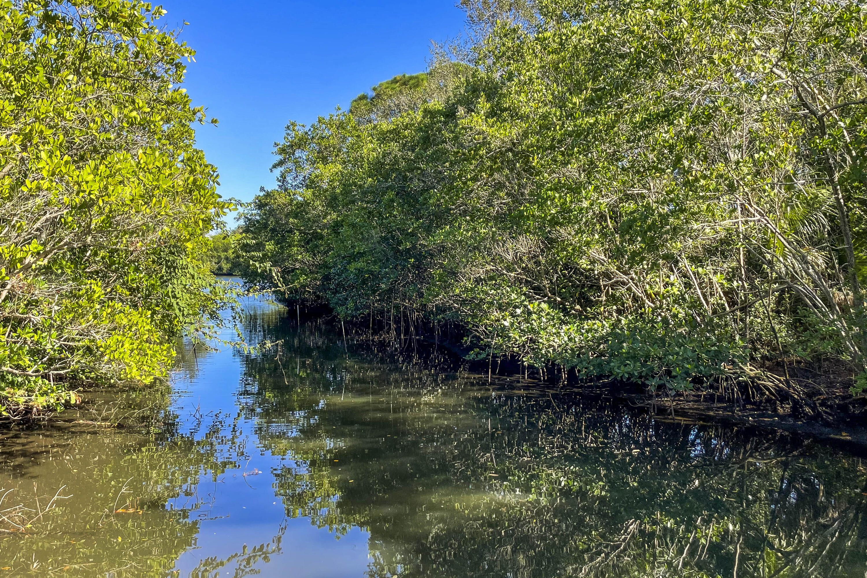 MLS #R11153924 image #64