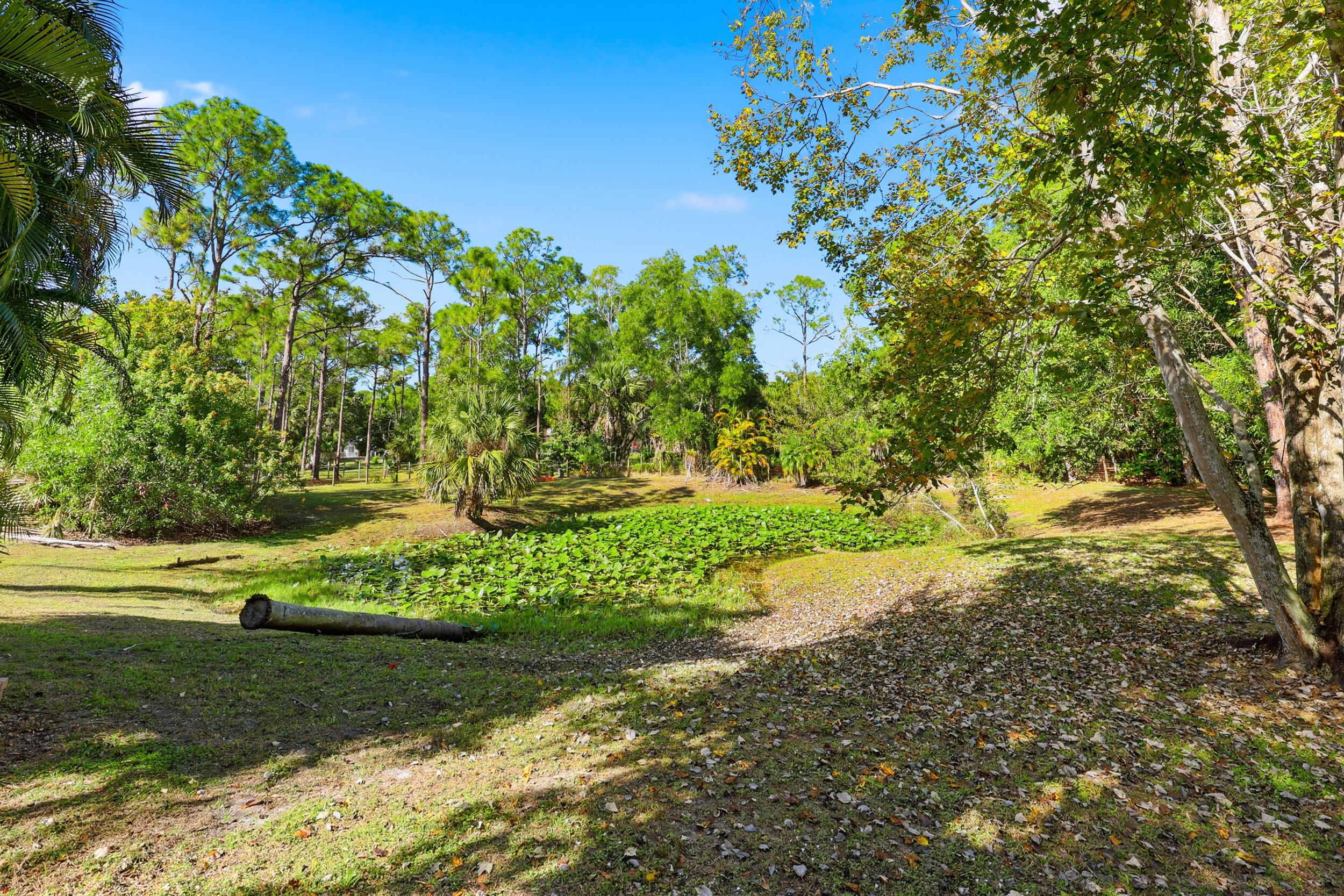 MLS #R11154240 image #42