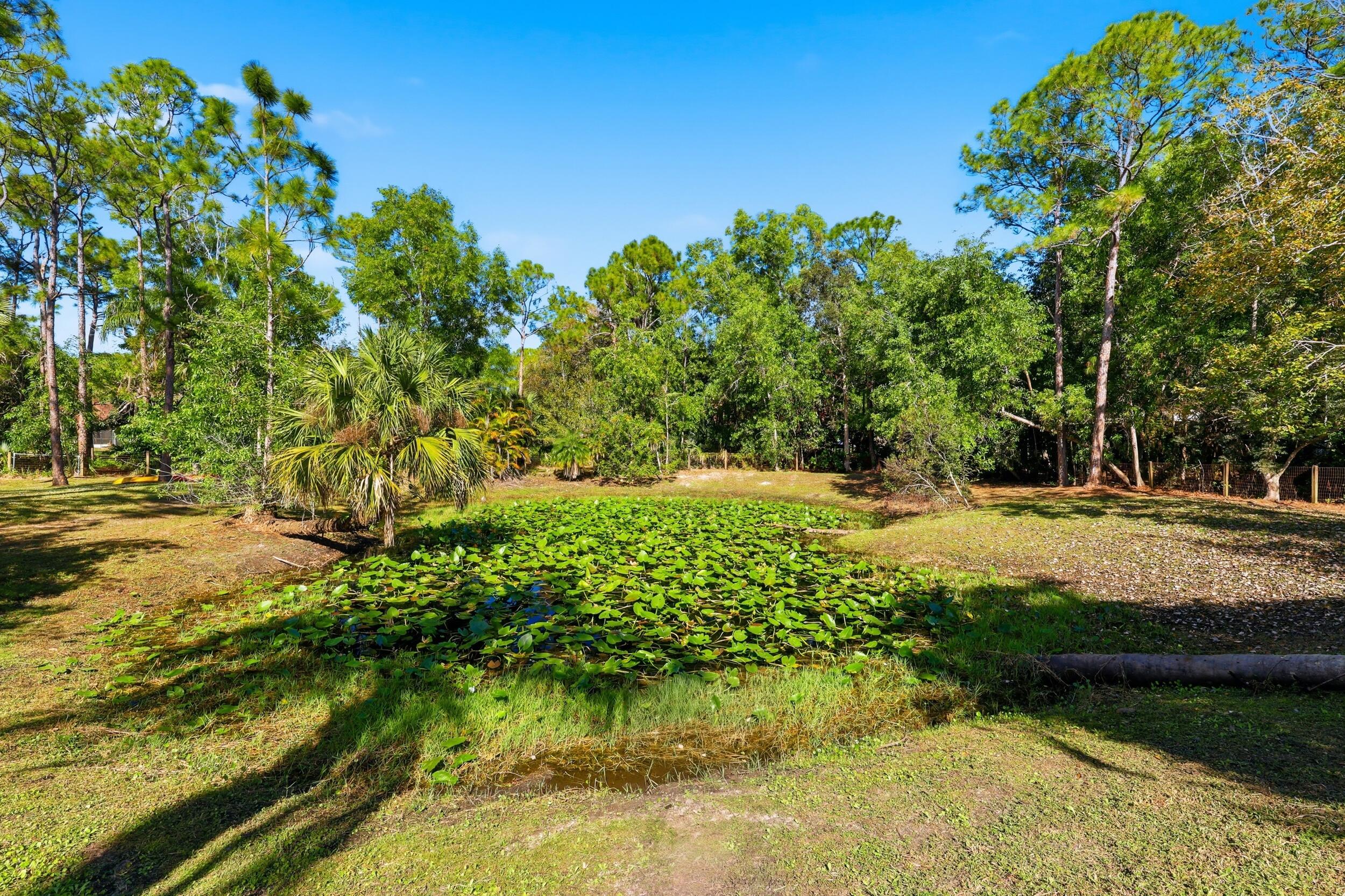 MLS #R11154240 image #43