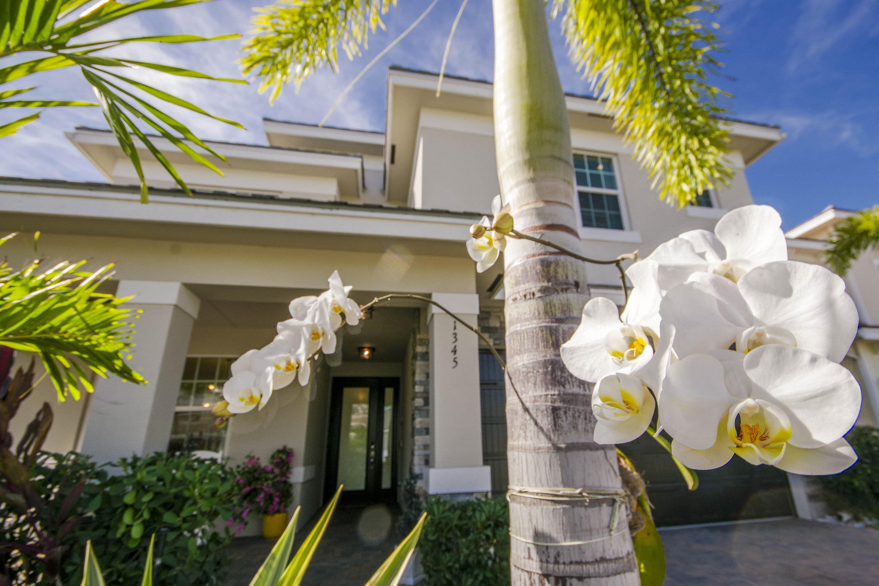 MLS #R11154394 image #5