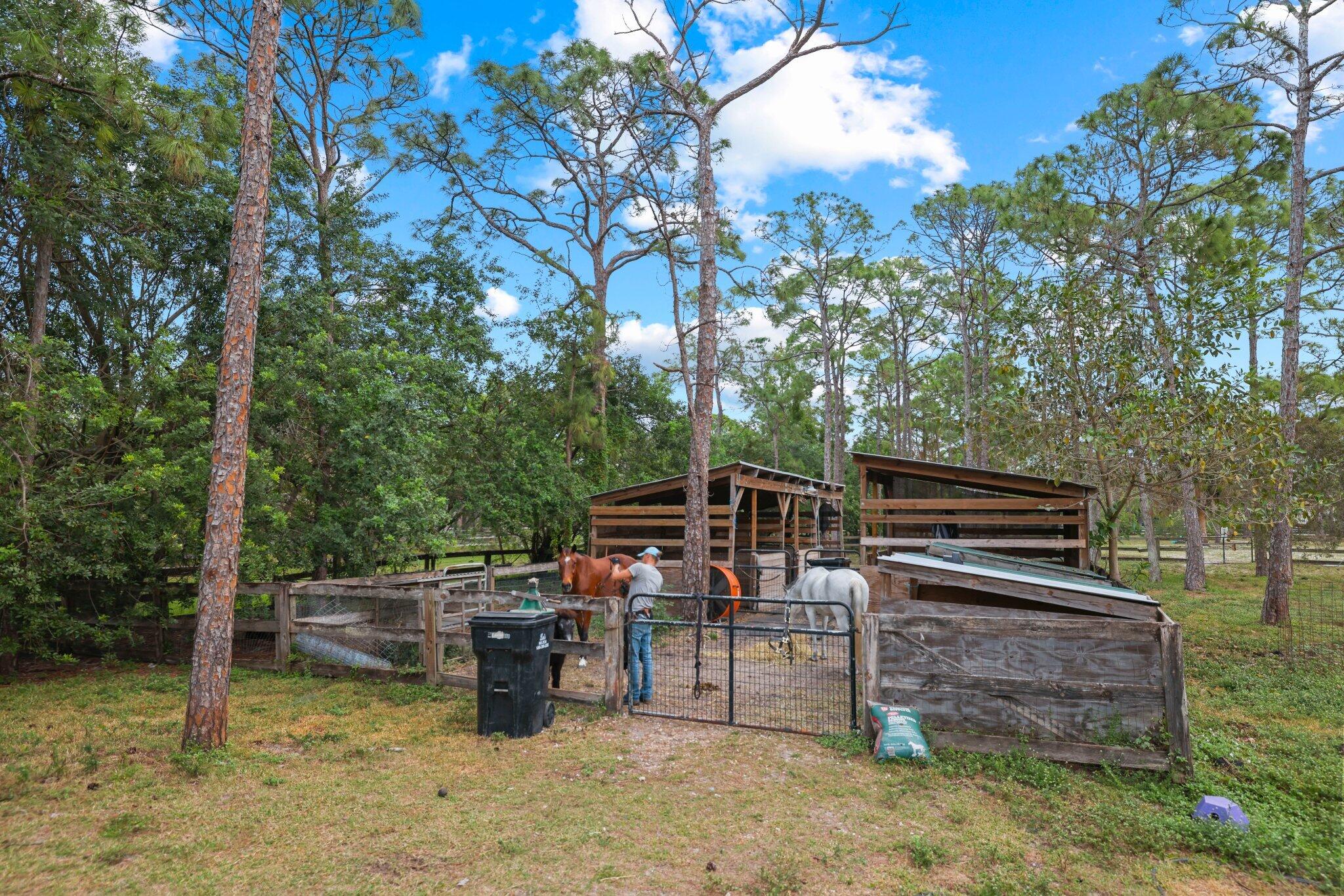 MLS #R11155211 image #40