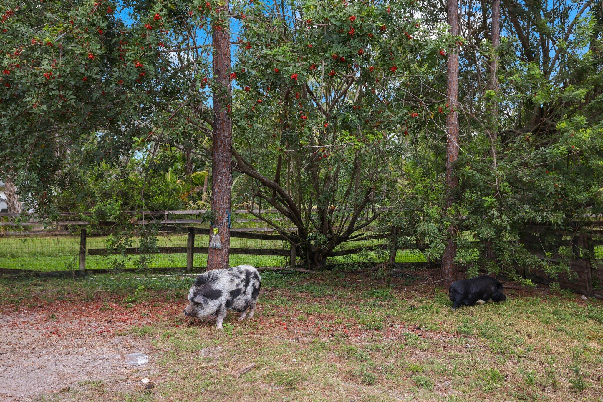 MLS #R11155211 image #41