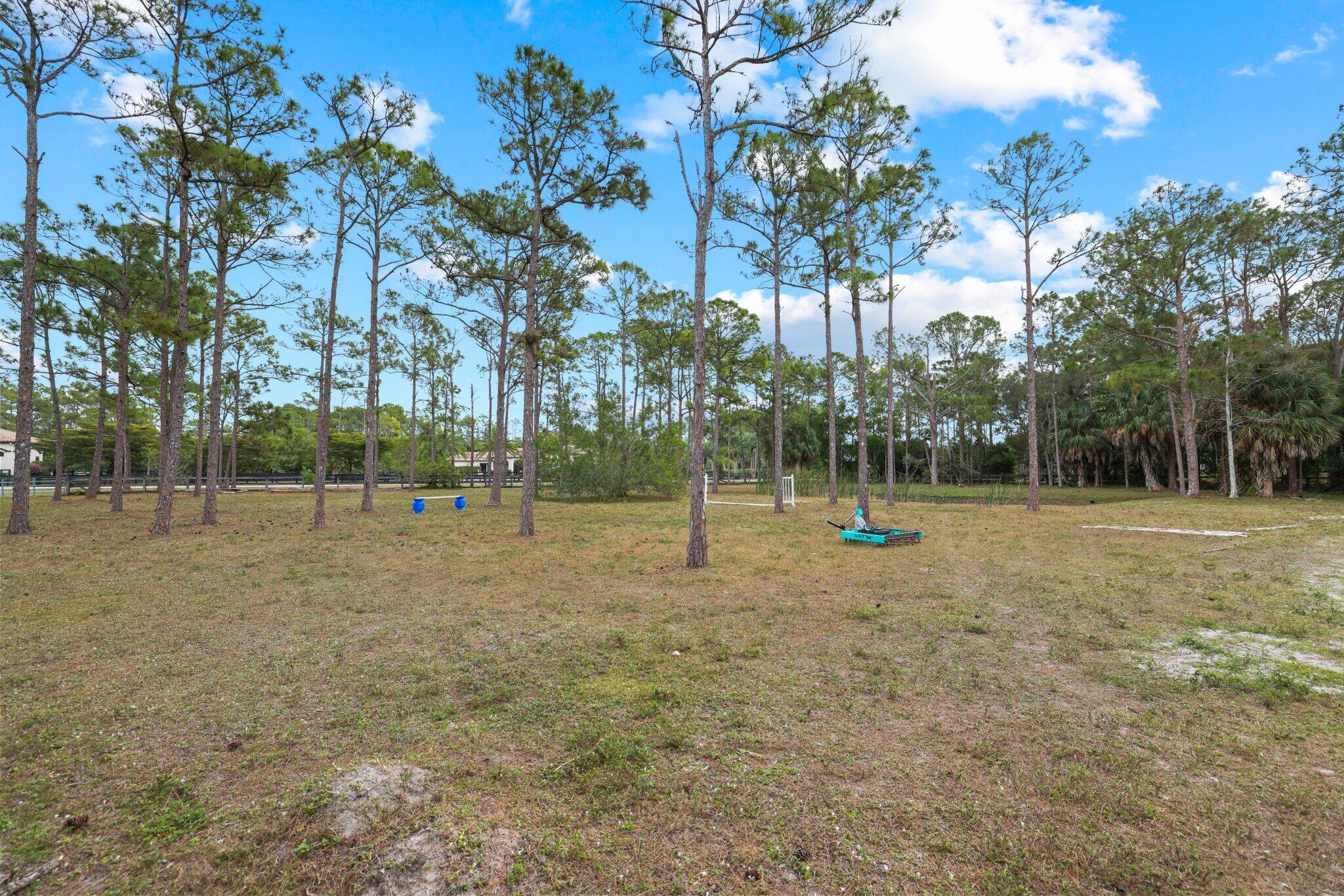 MLS #R11155211 image #46