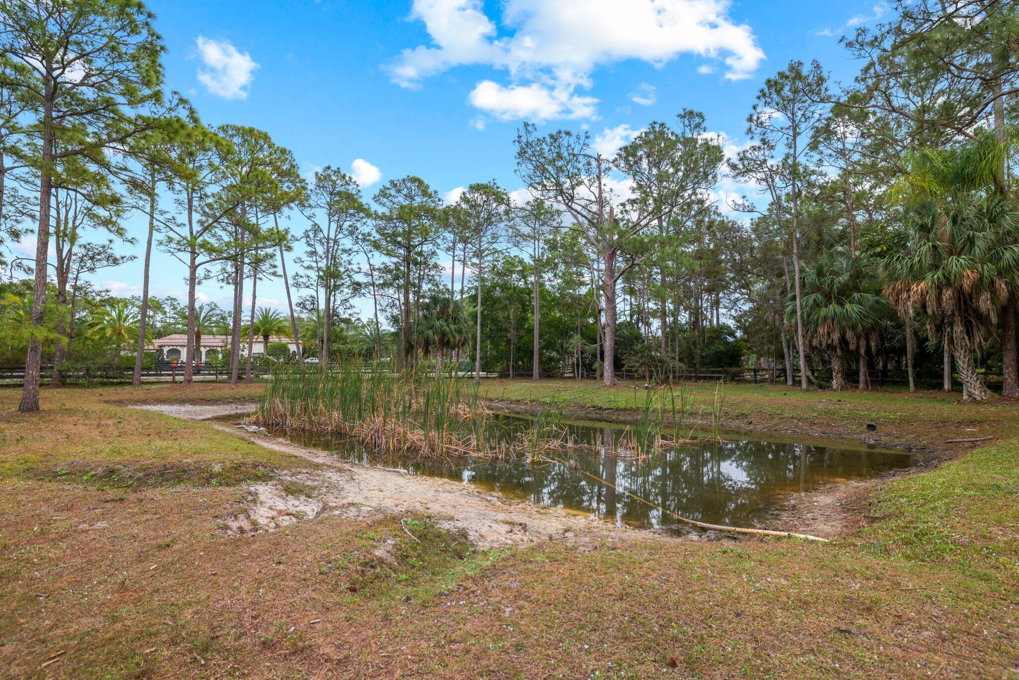 MLS #R11155211 image #47