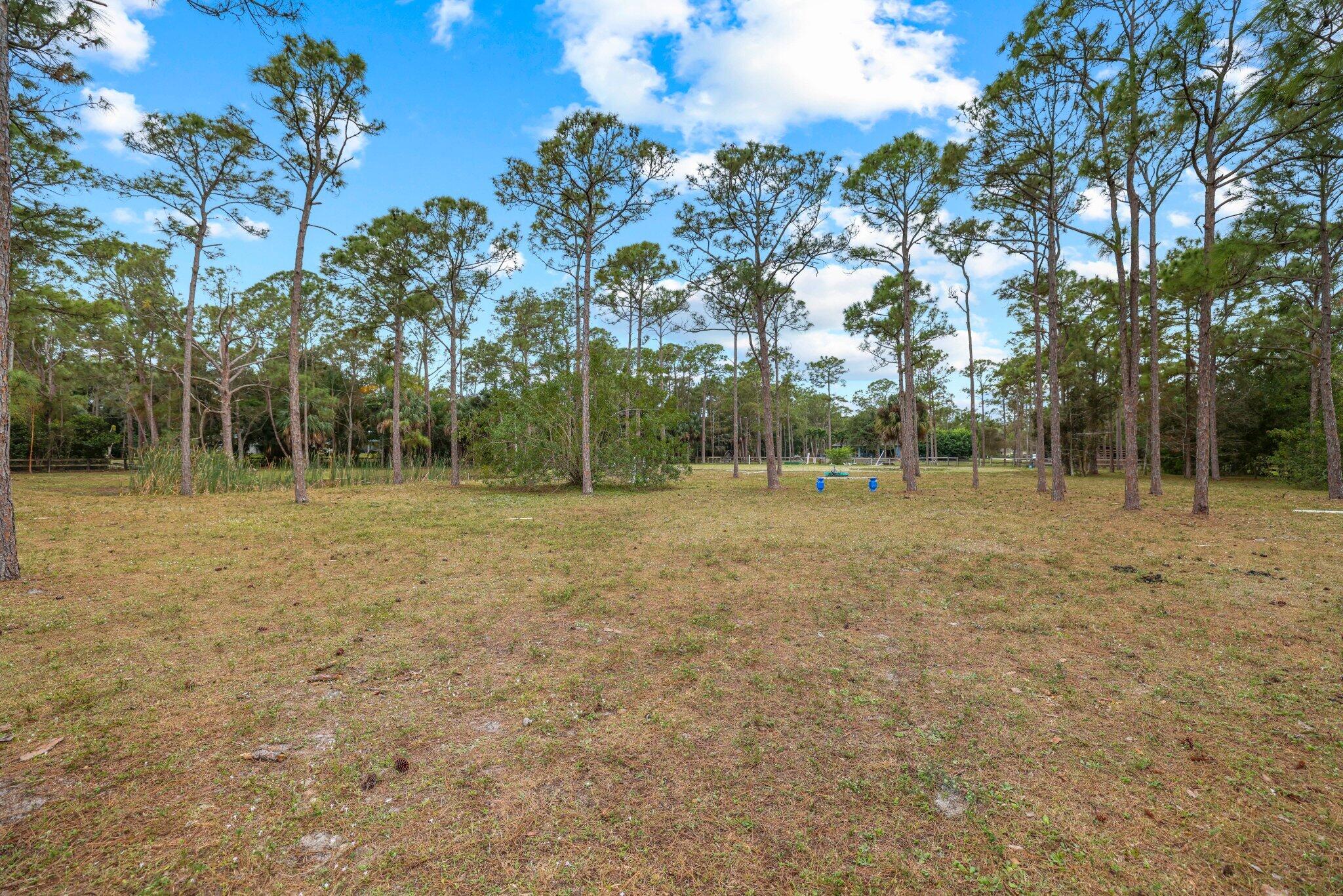 MLS #R11155211 image #48