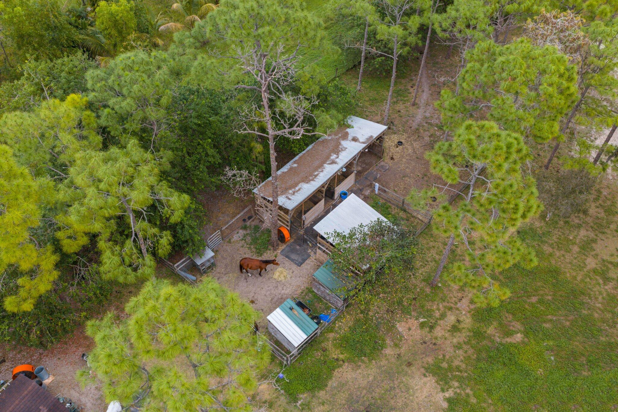 MLS #R11155211 image #64