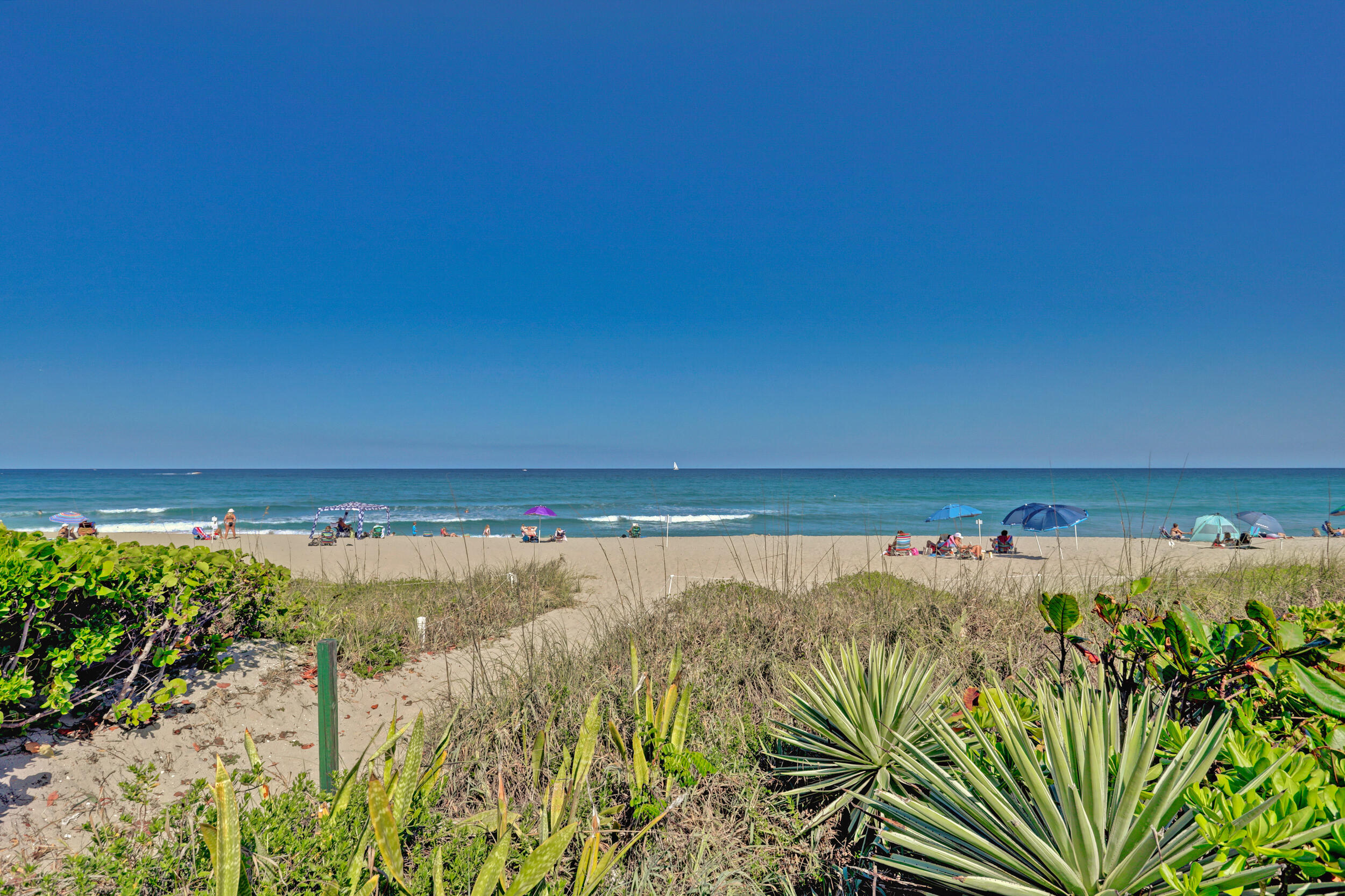 MLS #R11155279 image #11