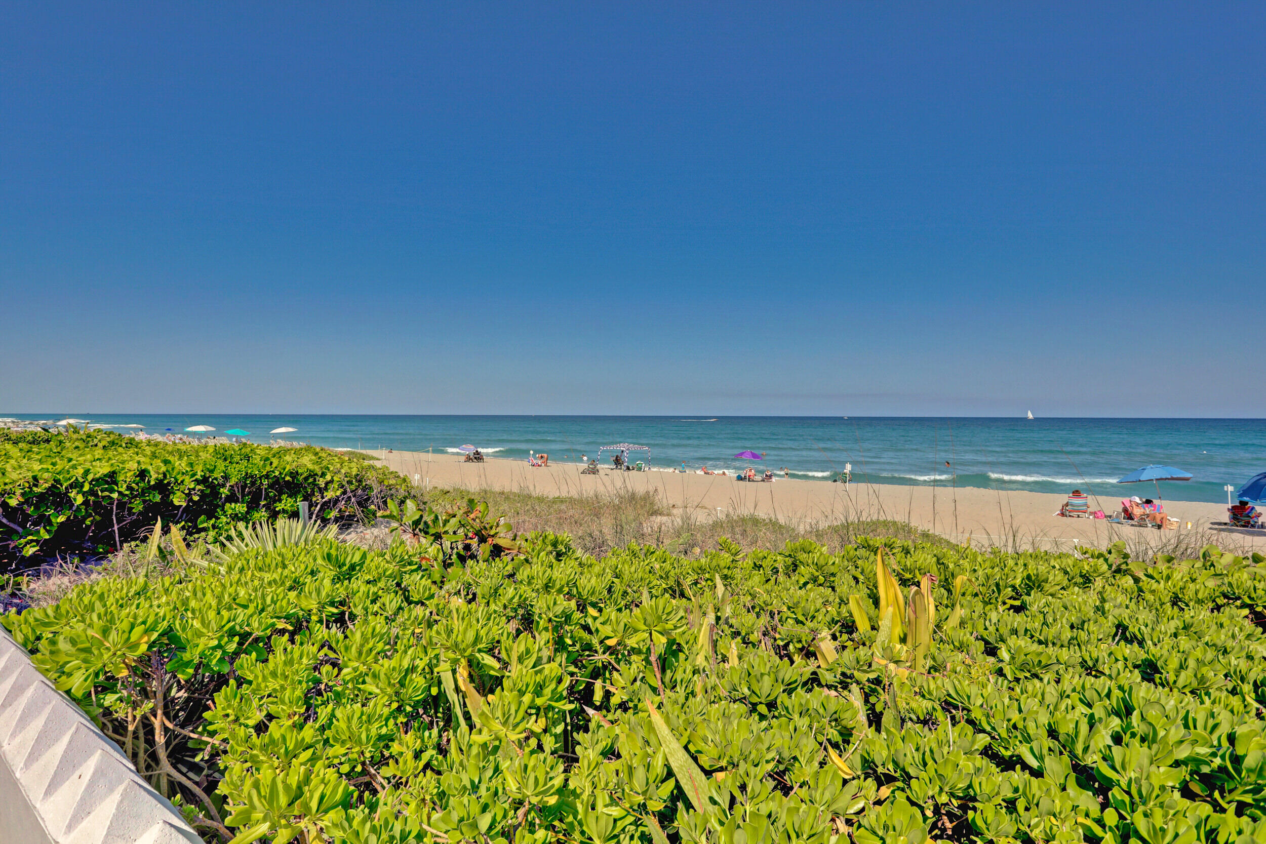 MLS #R11155279 image #13