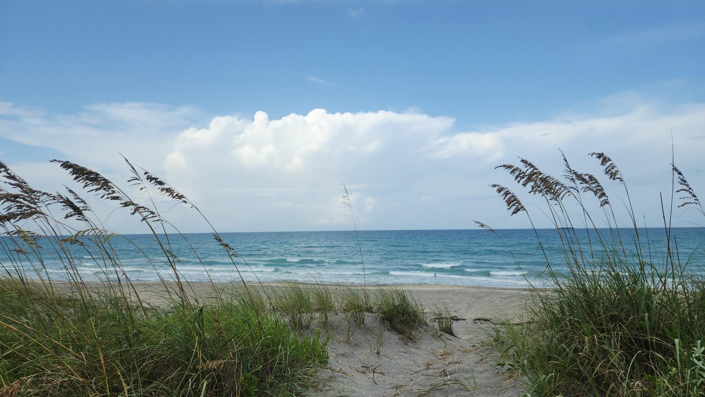 MLS #R11155401 image #2