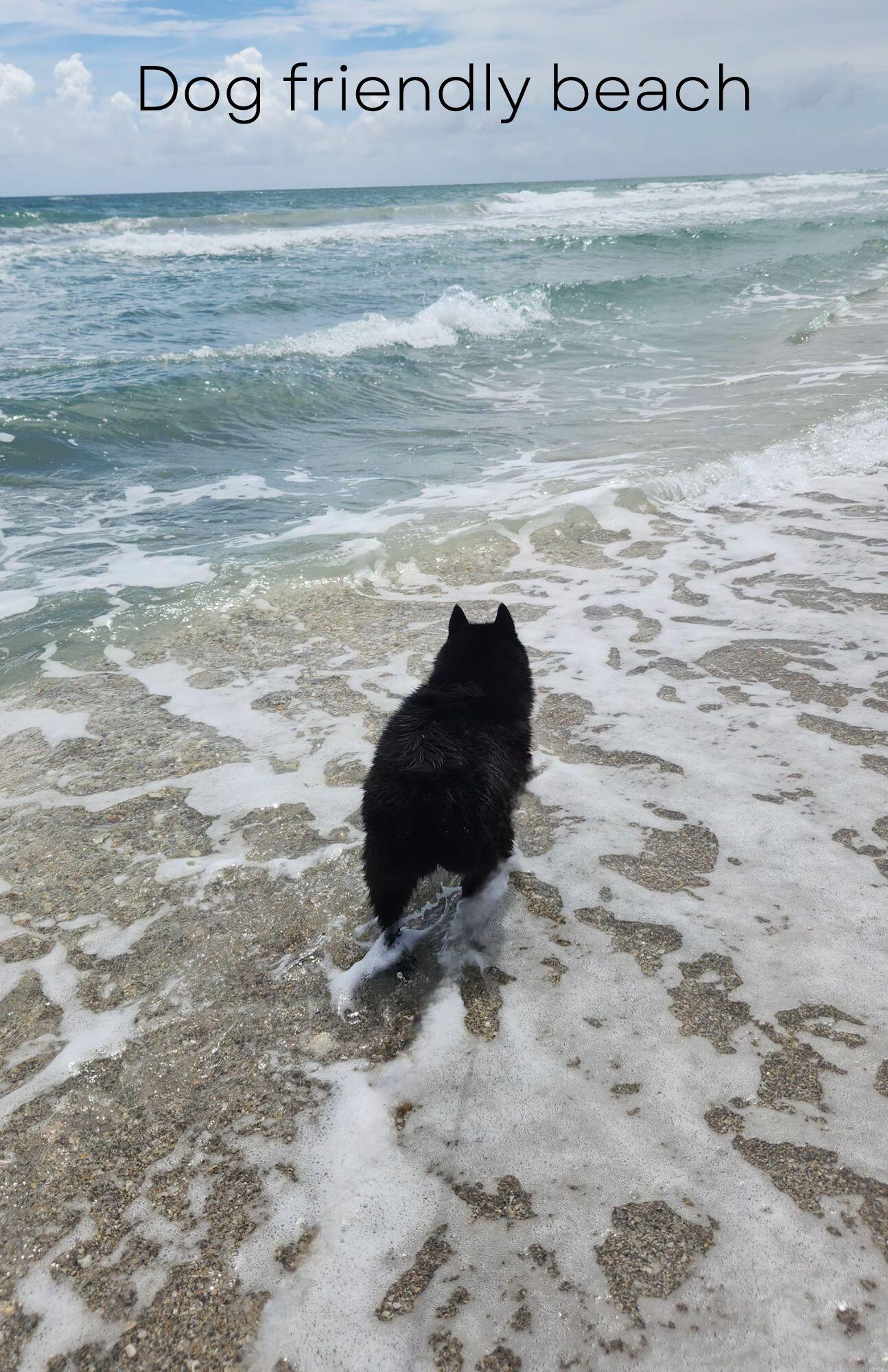 MLS #R11155401 image #31