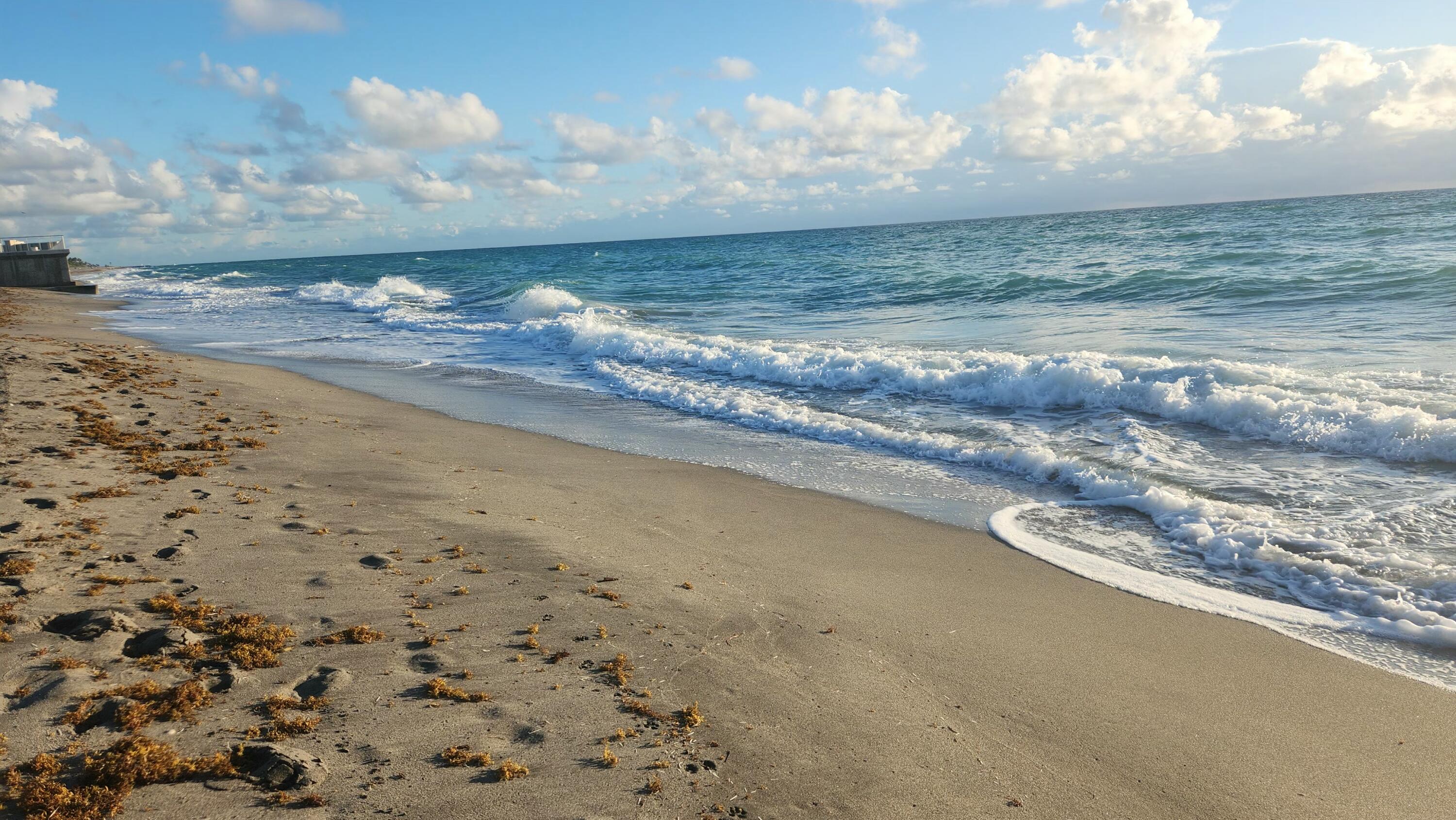 MLS #R11155401 image #32