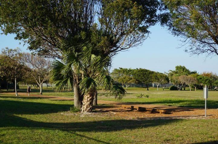 MLS #R11155401 image #39