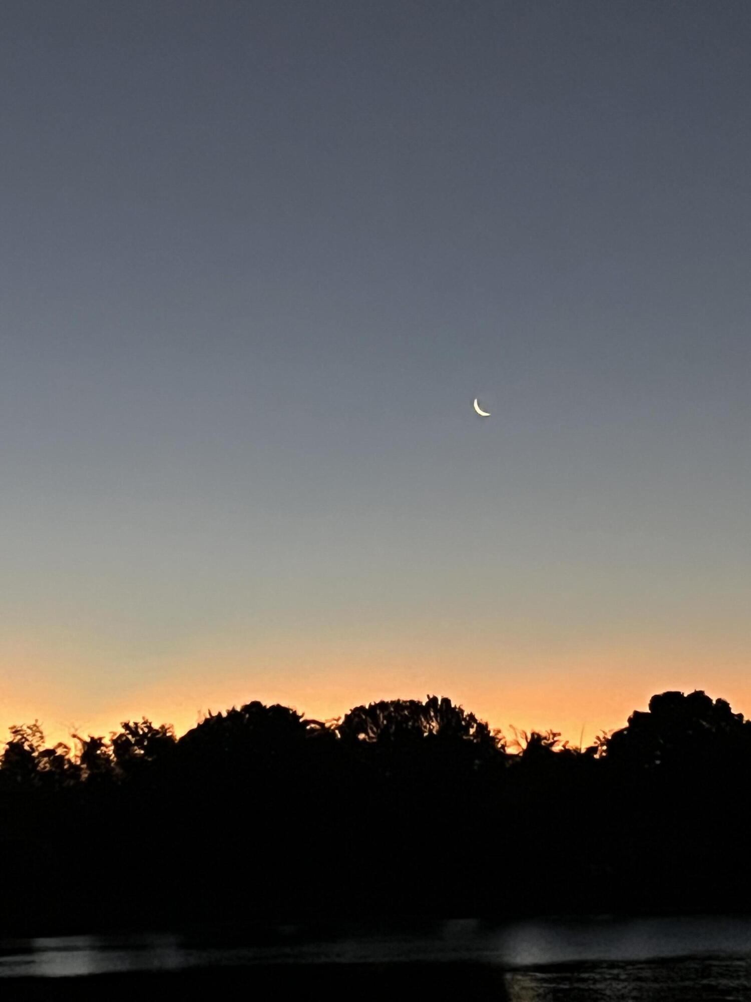 MLS #R11155464 image #54