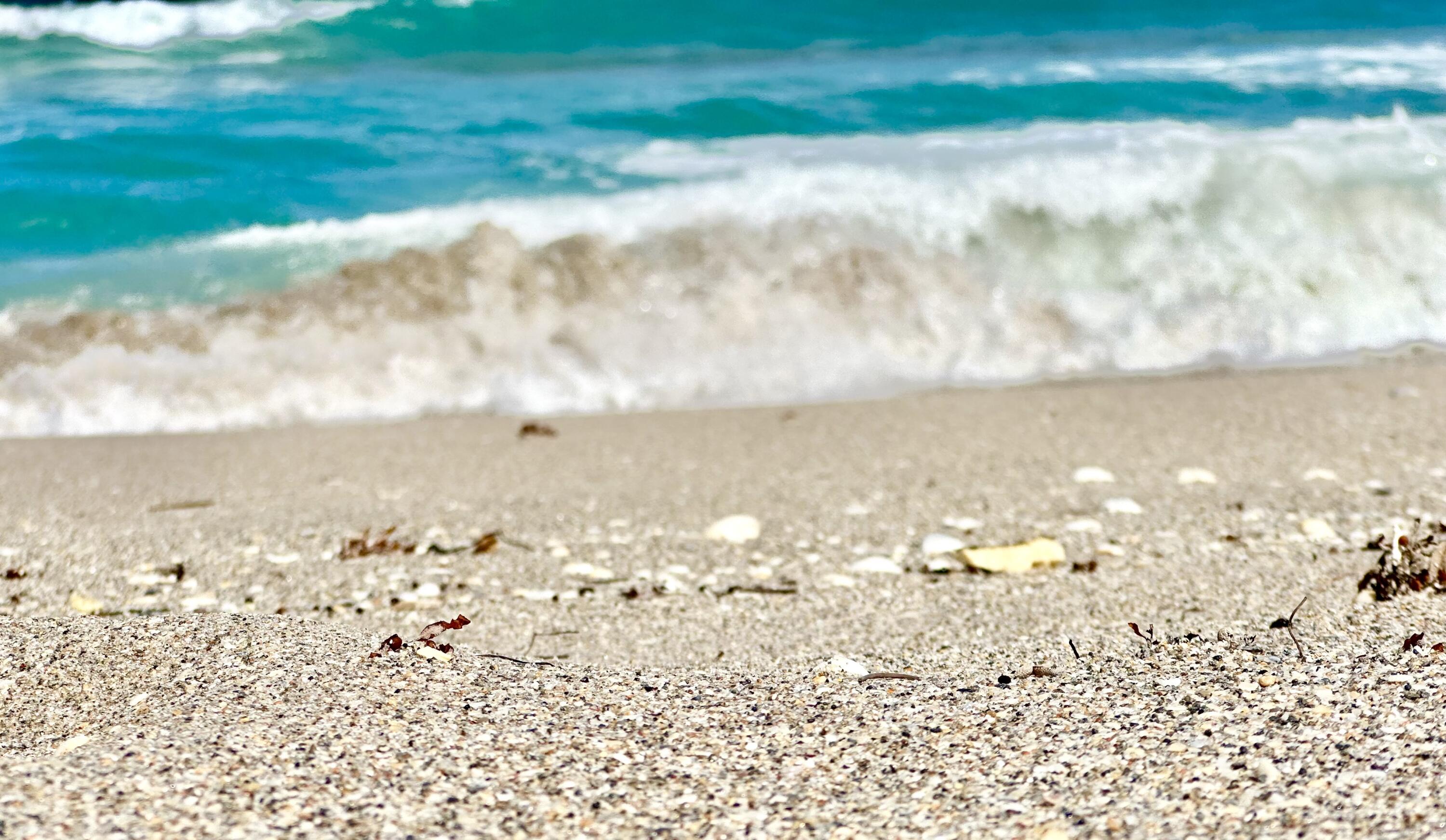 MLS #R11155528 image #12