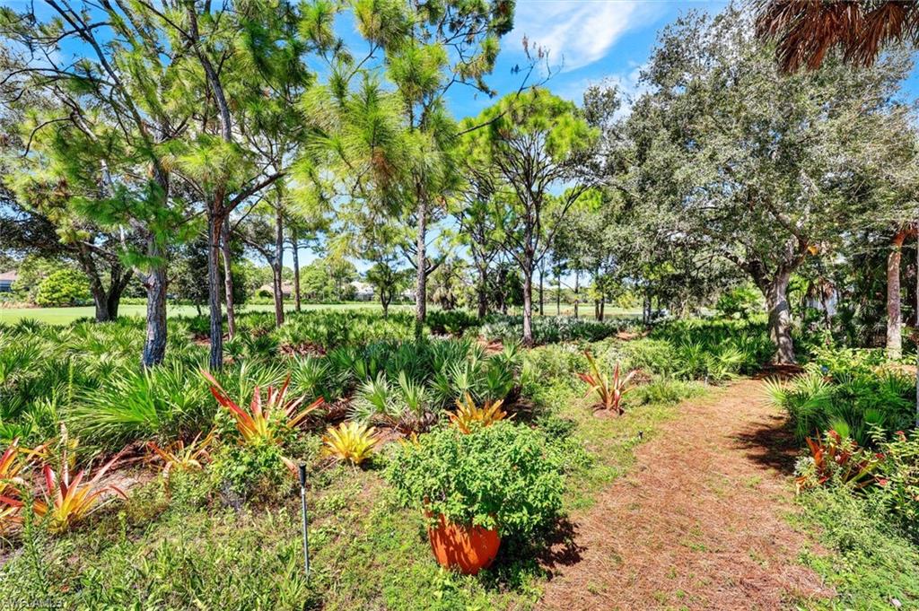 MLS #224074705 image #2