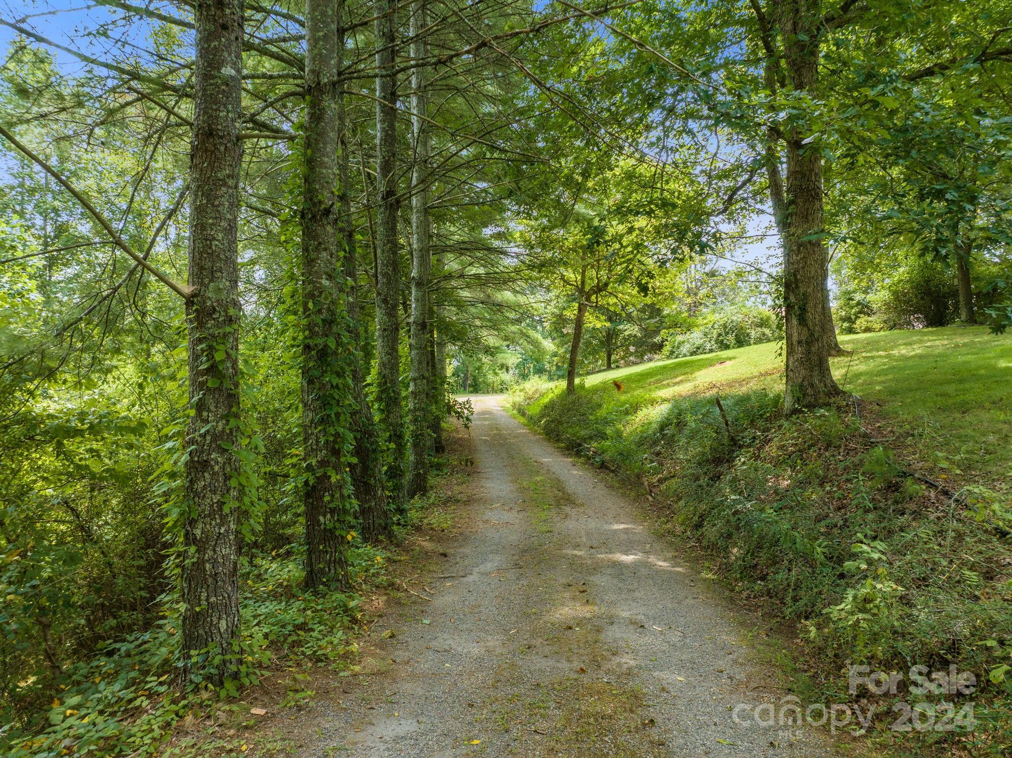 MLS #CAR4111505 image #3