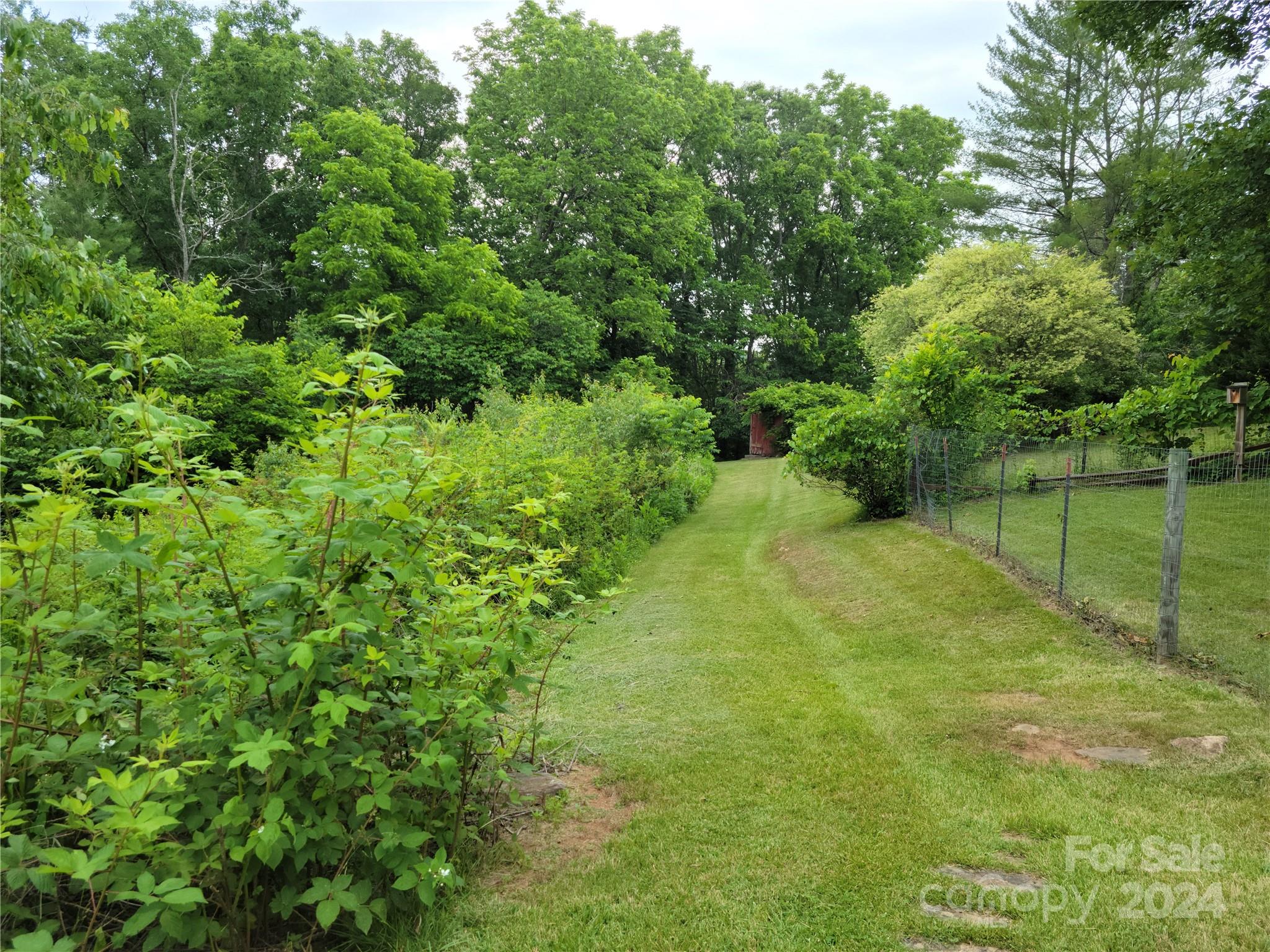 MLS #CAR4111505 image #41