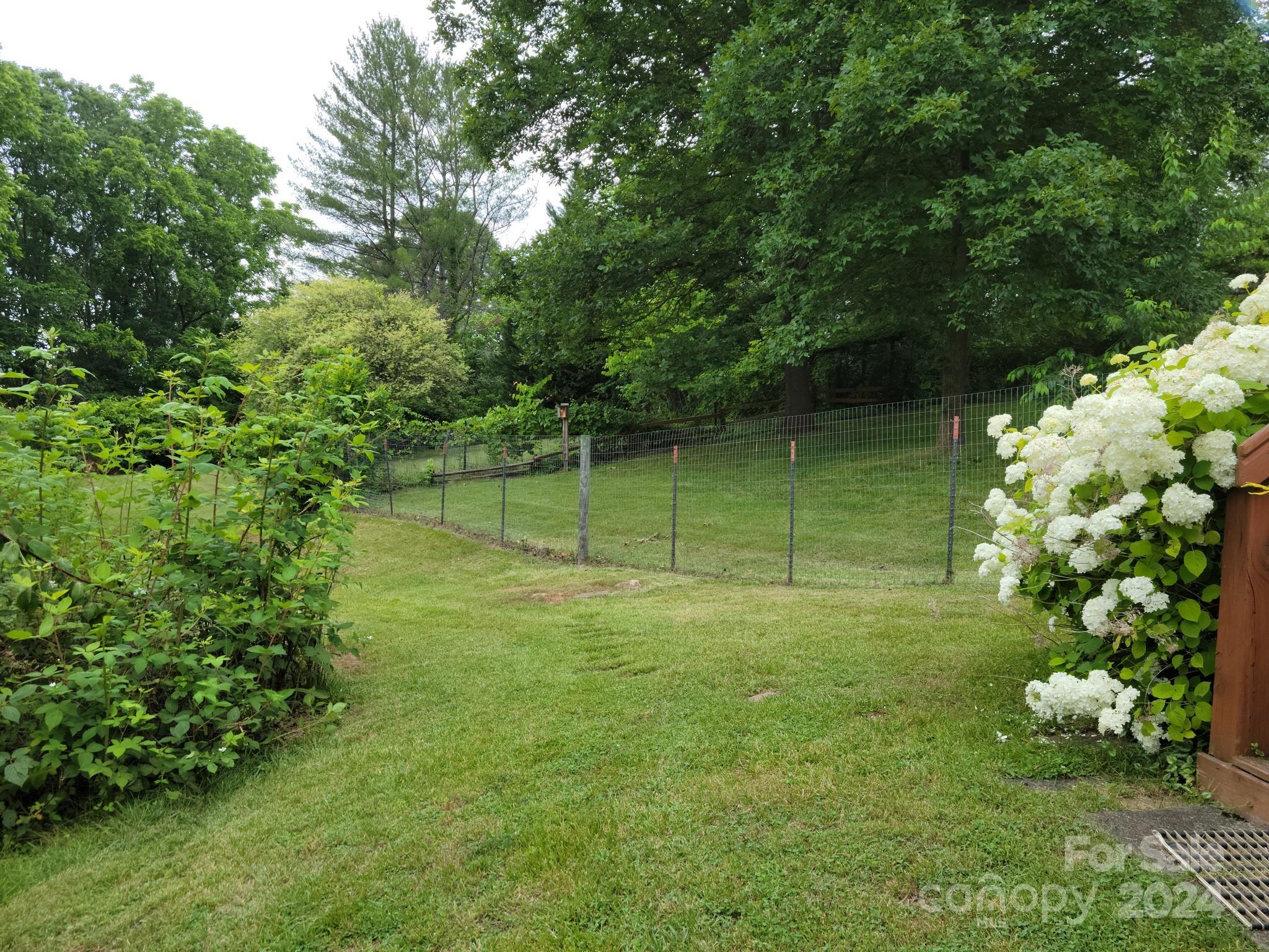 MLS #CAR4111505 image #42