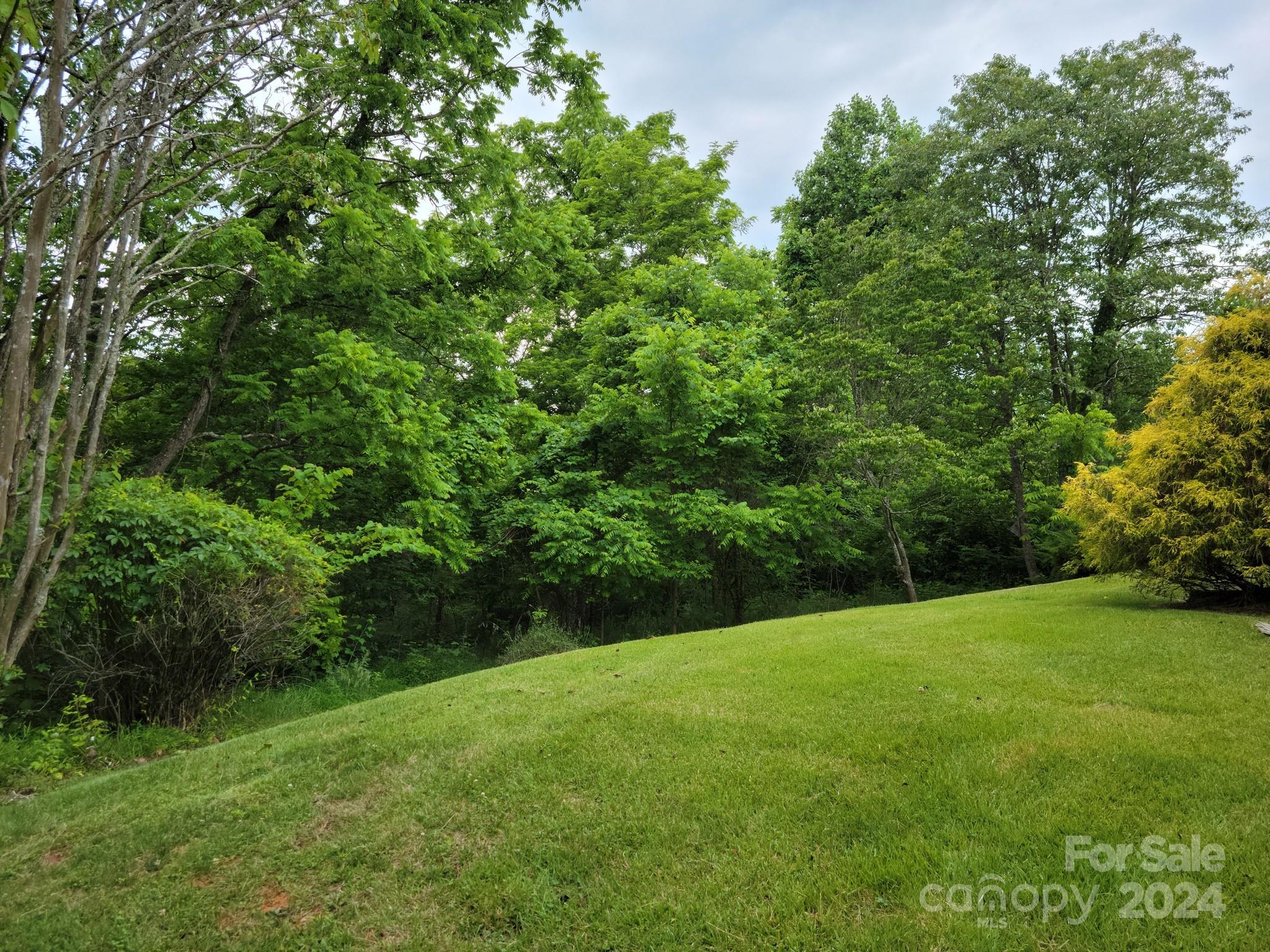 MLS #CAR4111505 image #45