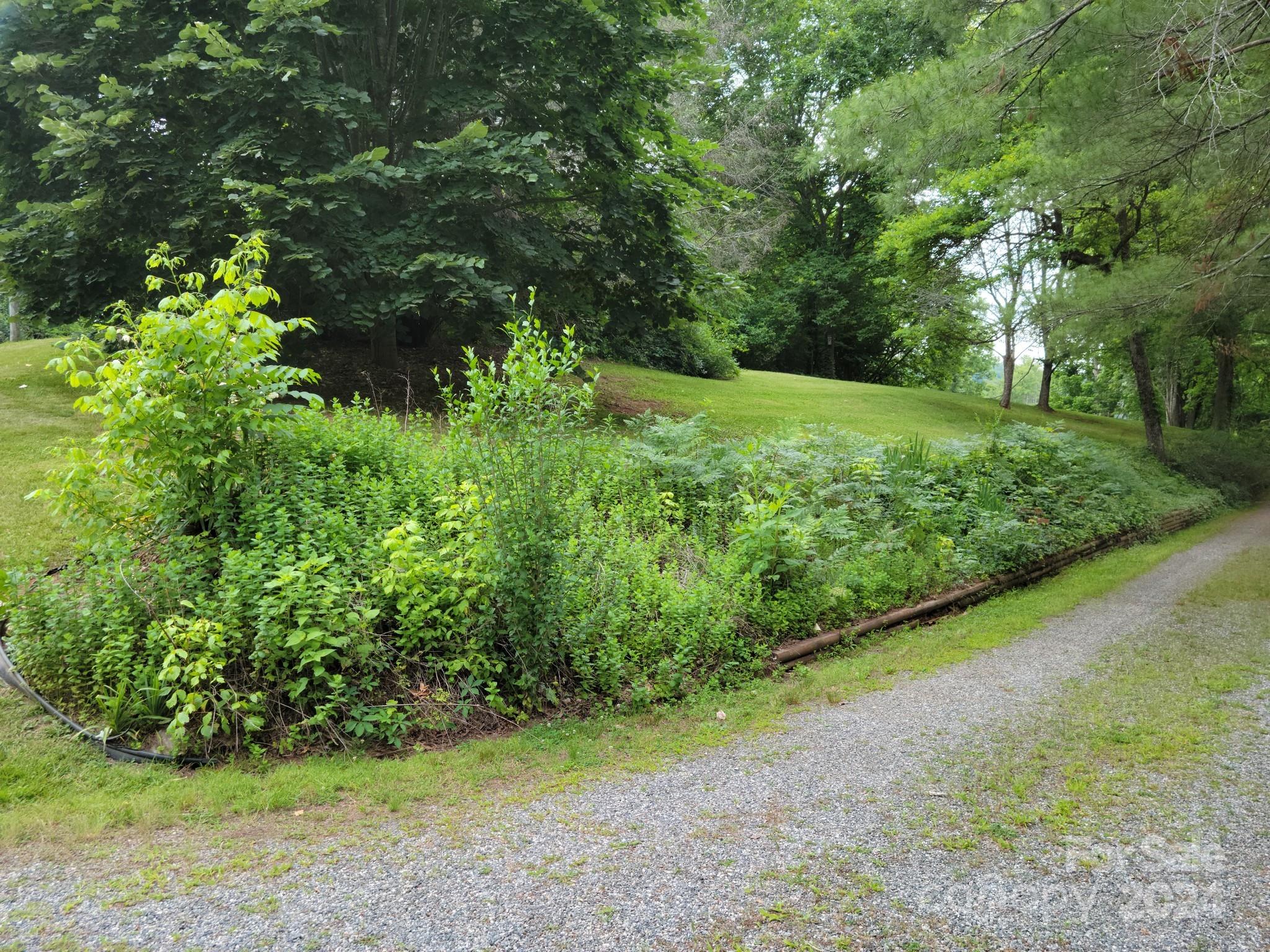 MLS #CAR4111505 image #46