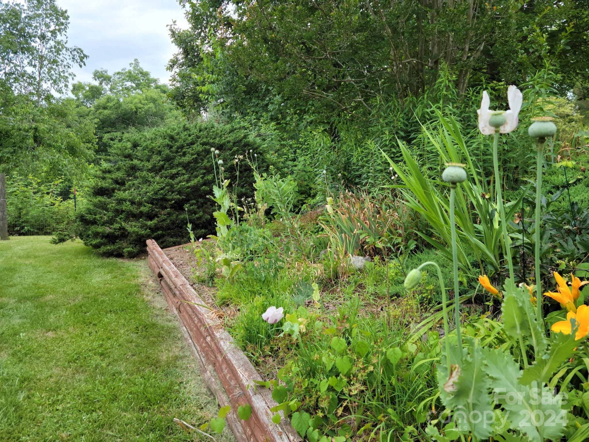 MLS #CAR4111505 image #47