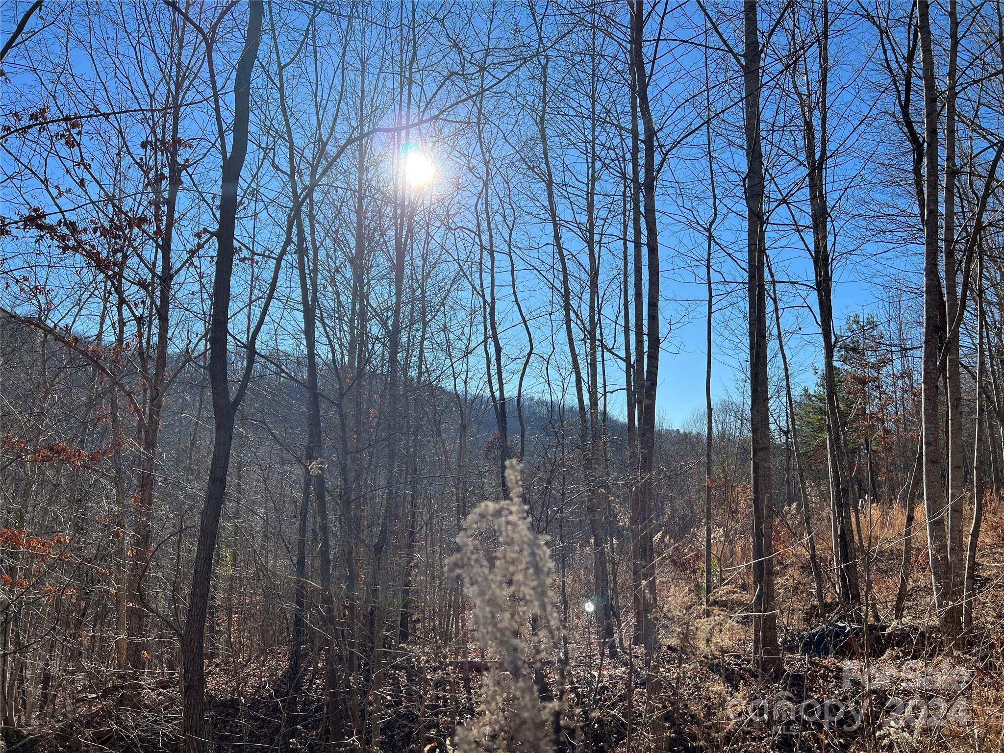 MLS #CAR4112074 image #10