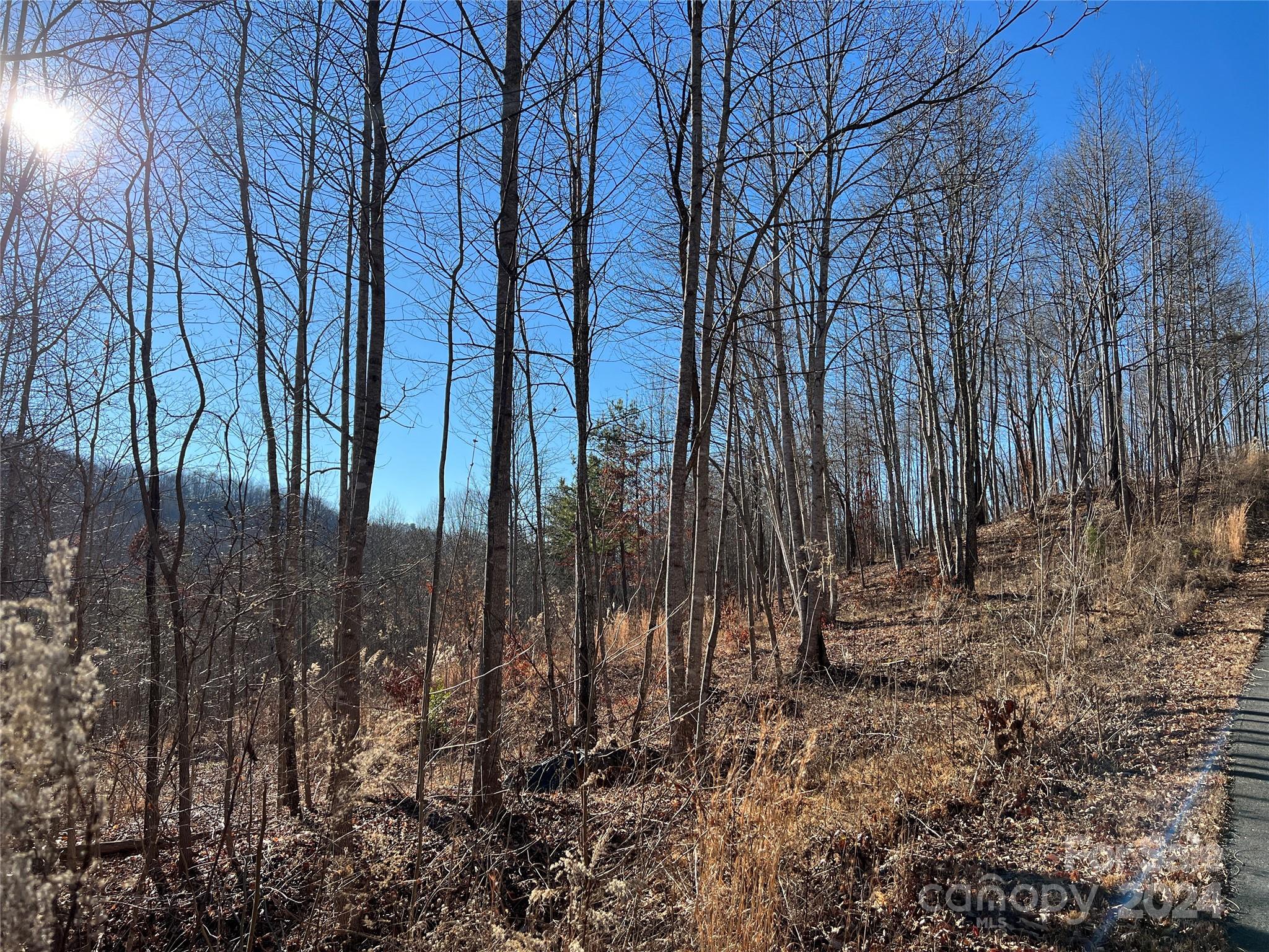 MLS #CAR4112074 image #11