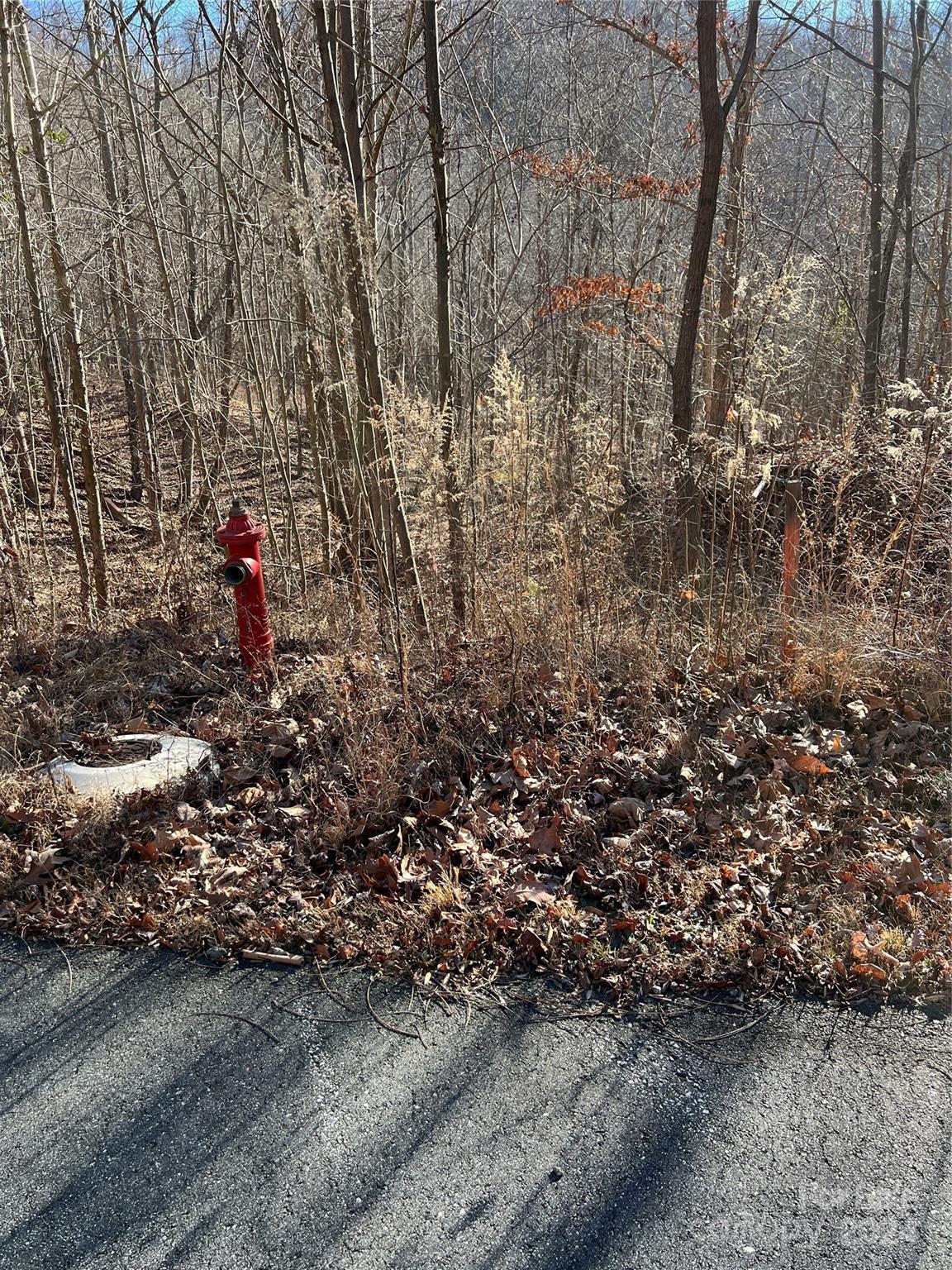 MLS #CAR4112074 image #12