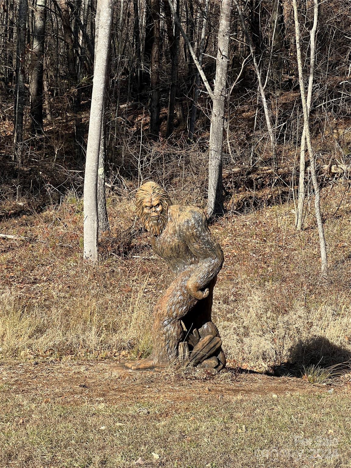 MLS #CAR4112074 image #2