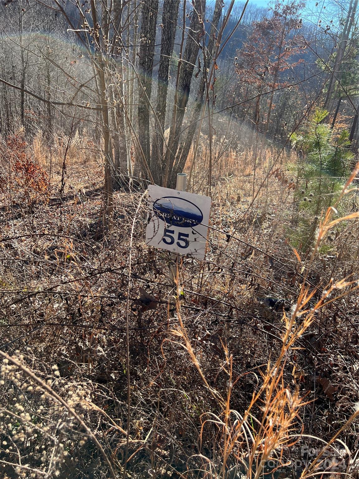 MLS #CAR4112074 image #3