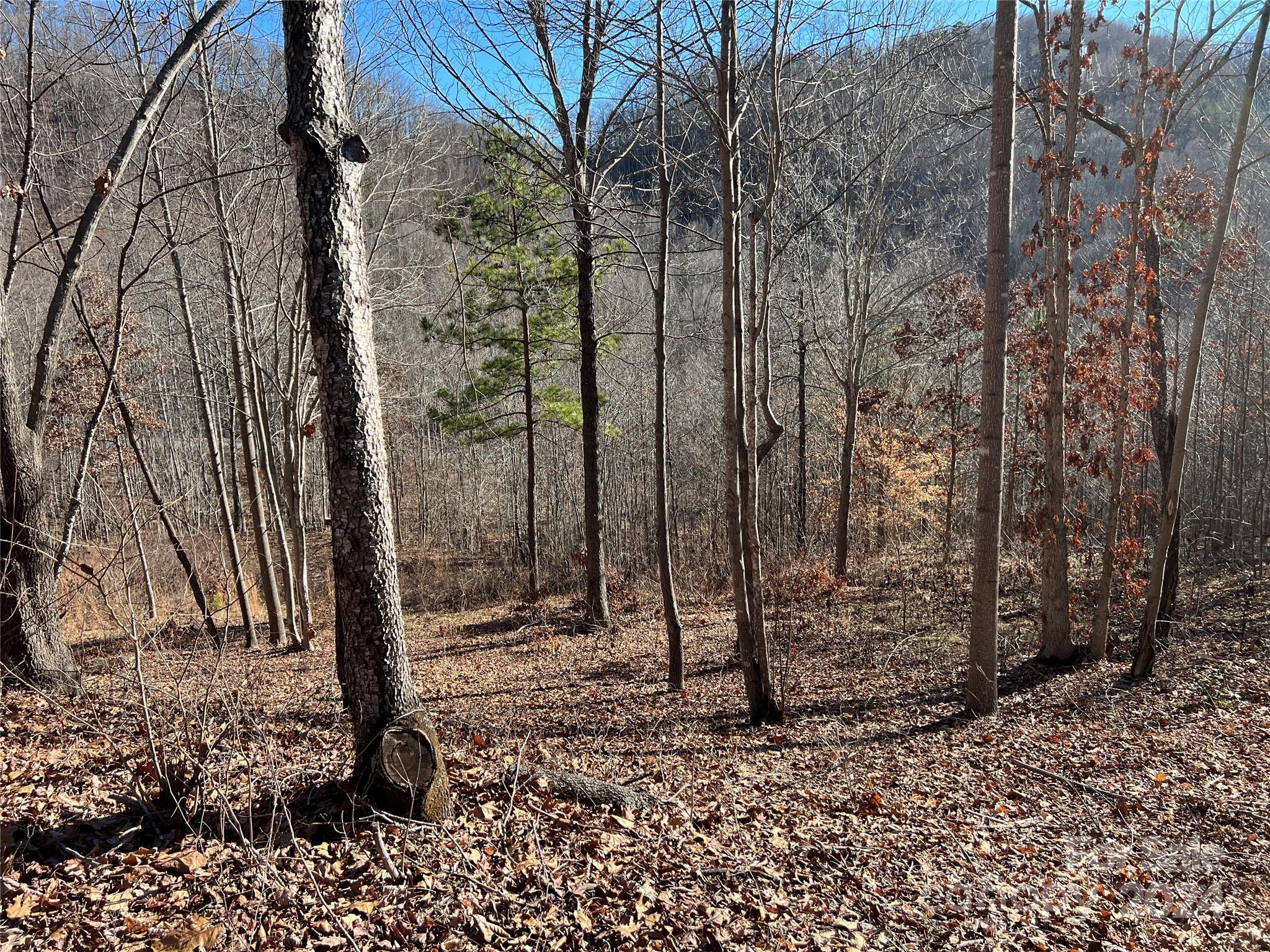 MLS #CAR4112074 image #4