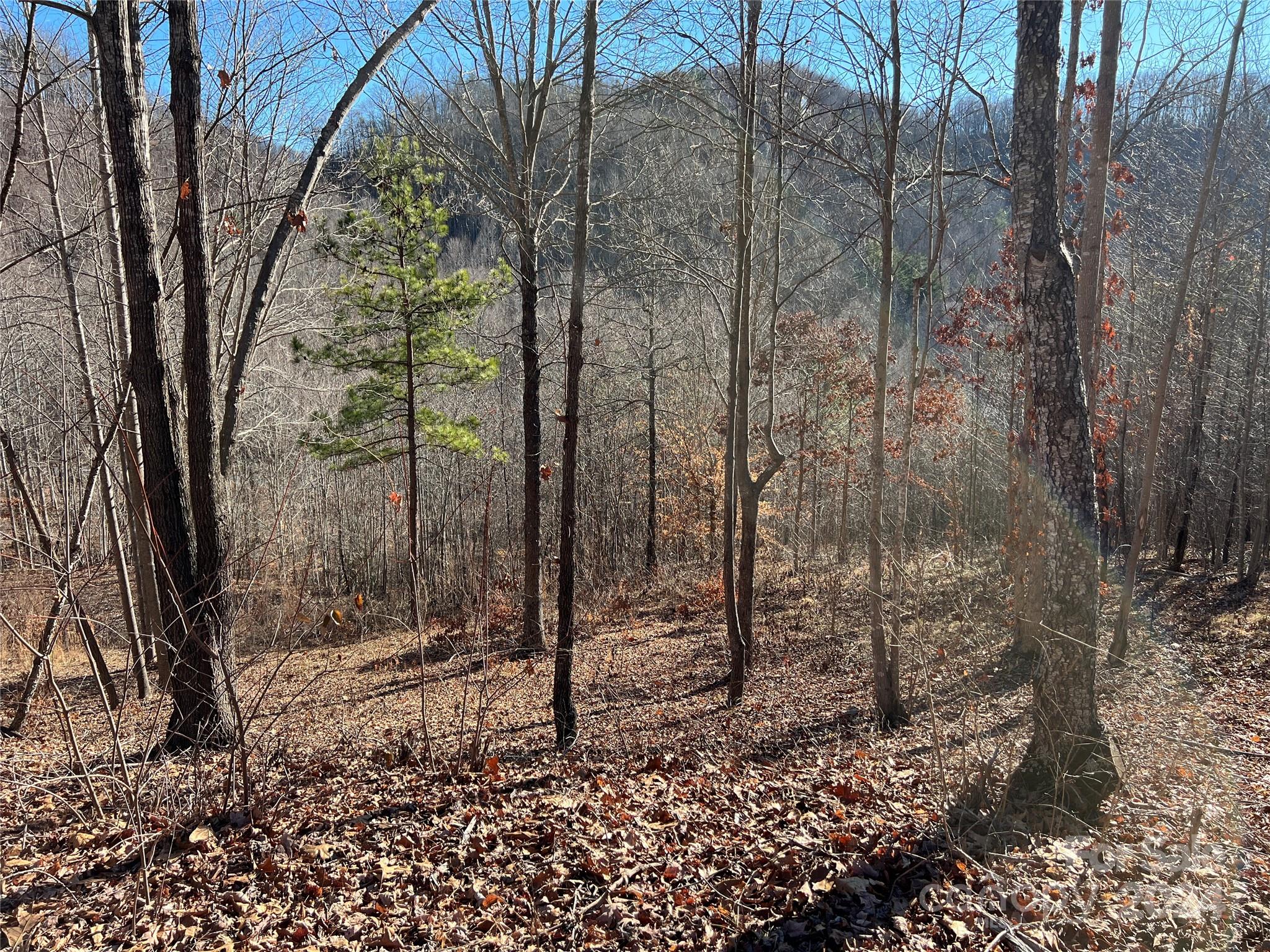 MLS #CAR4112074 image #5