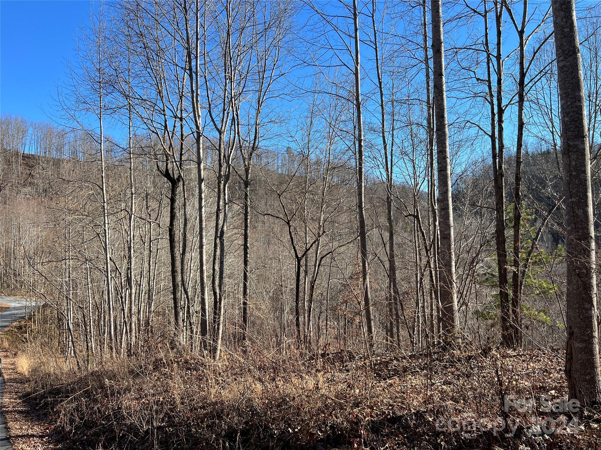 MLS #CAR4112074 image #7