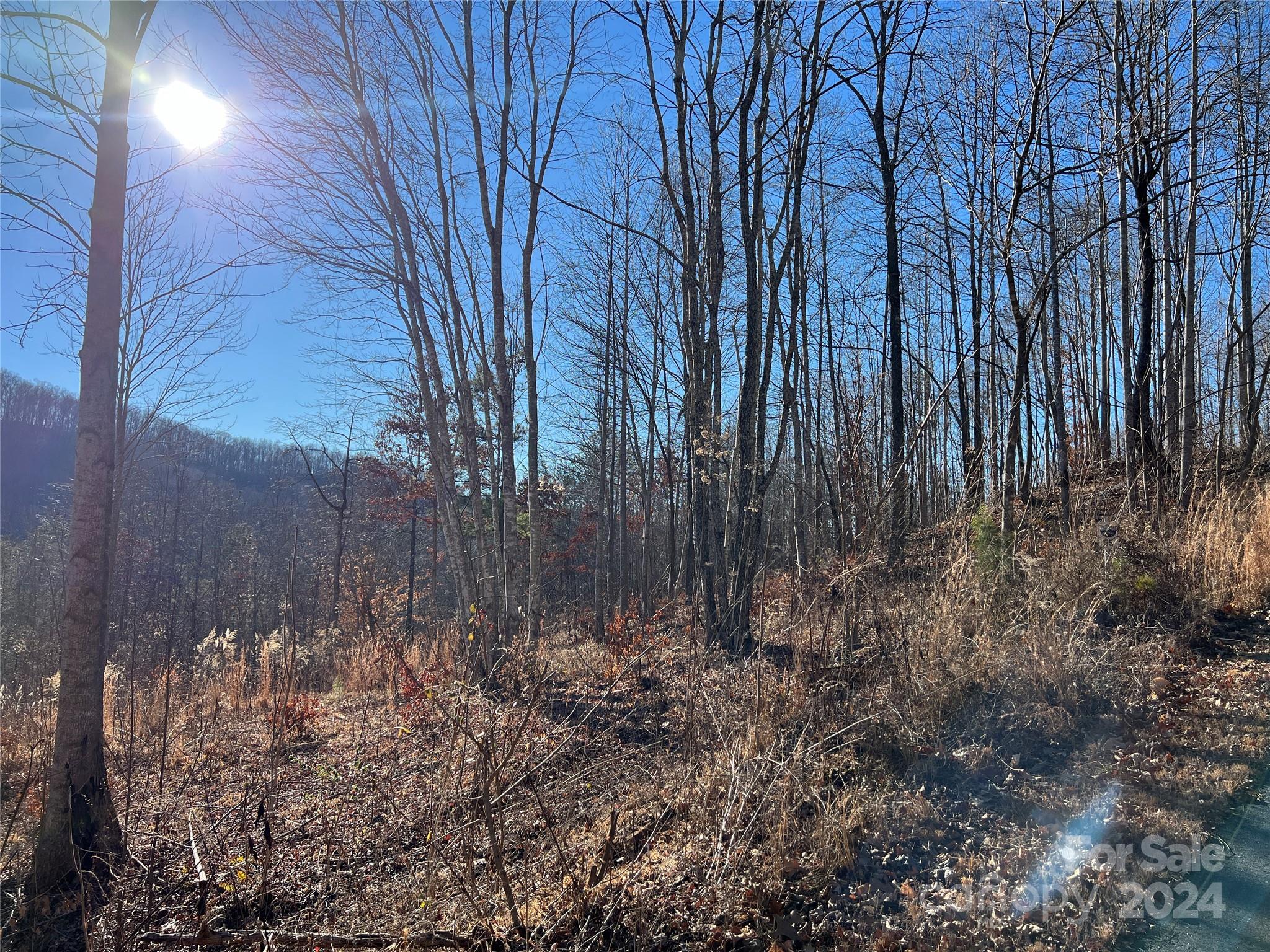 MLS #CAR4112074 image #8