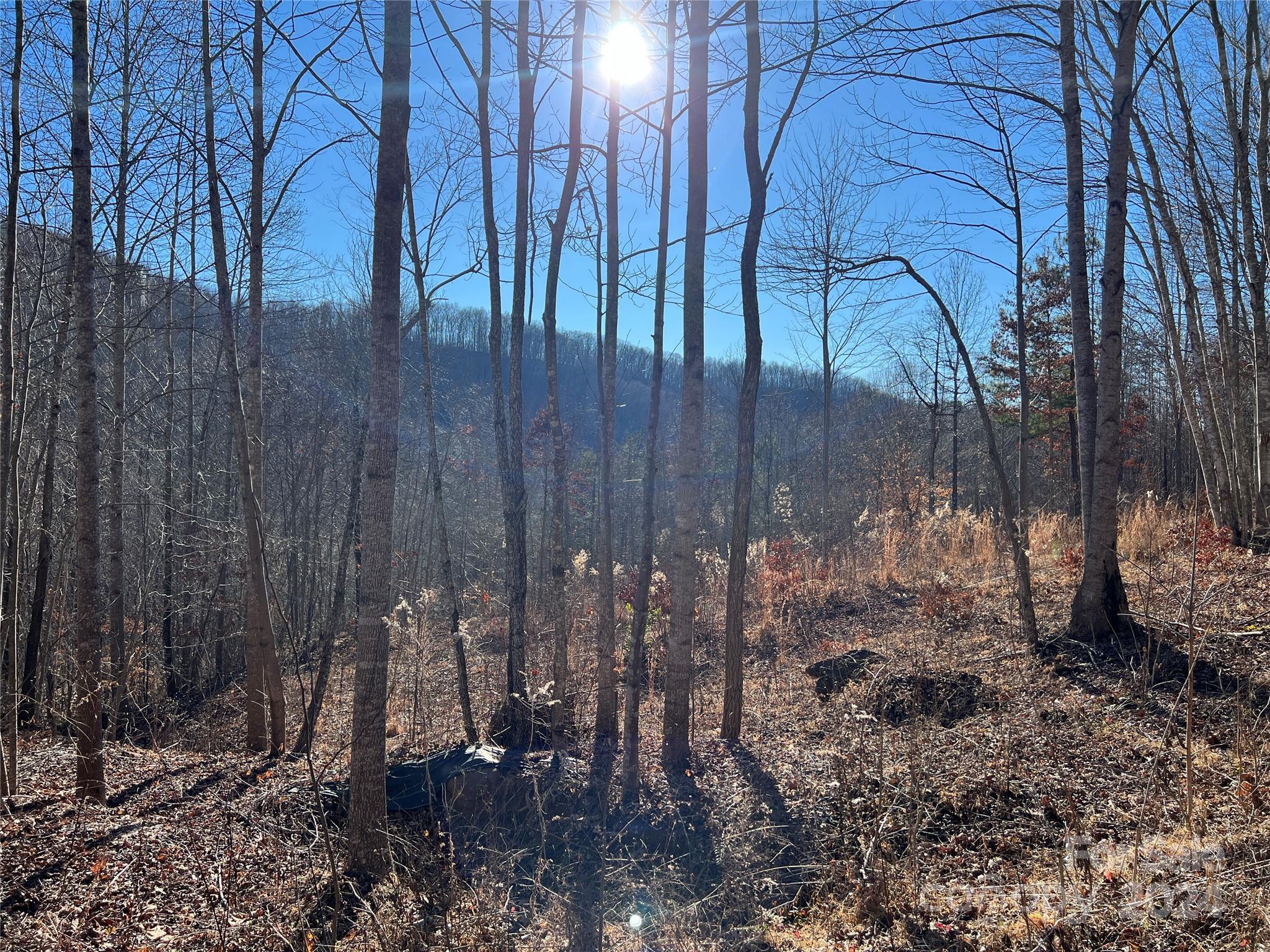 MLS #CAR4112074 image #9