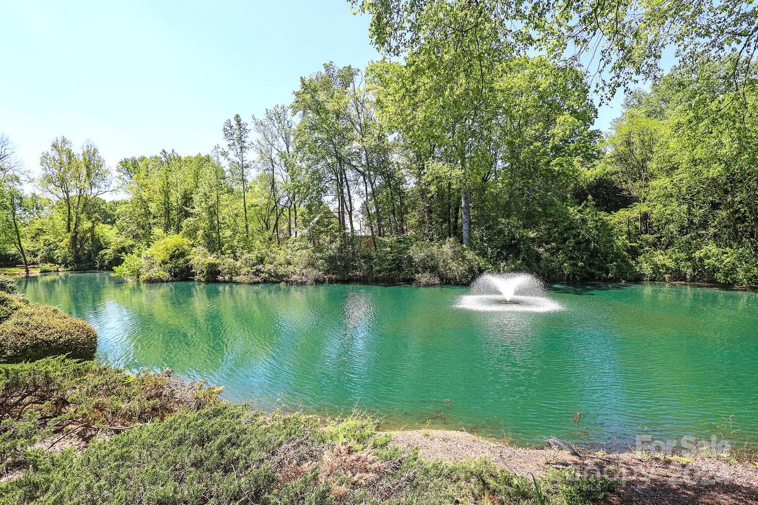 MLS #CAR4114149 image #35